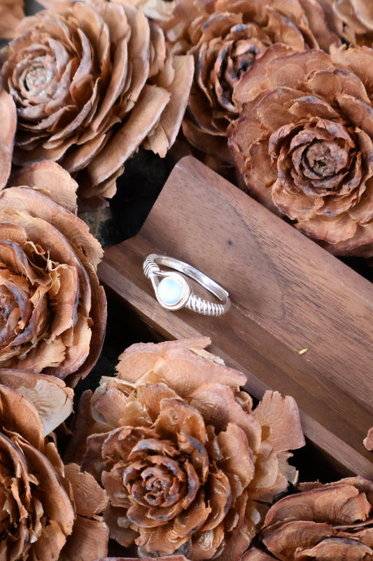 Aegis circle - JEN DESIGNRINGS