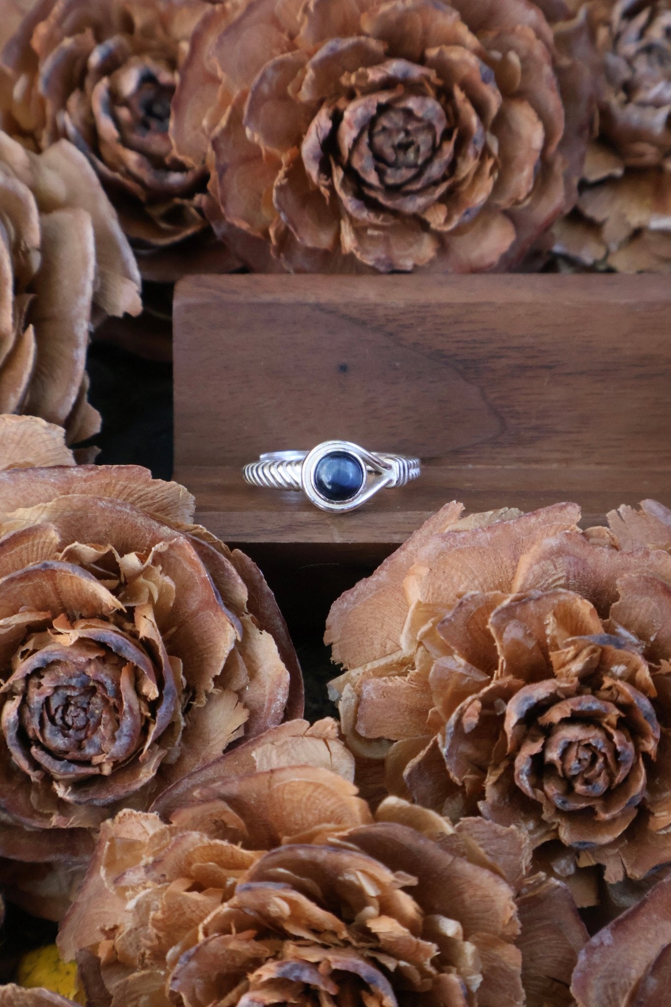 Aegis circle - JEN DESIGNRINGS