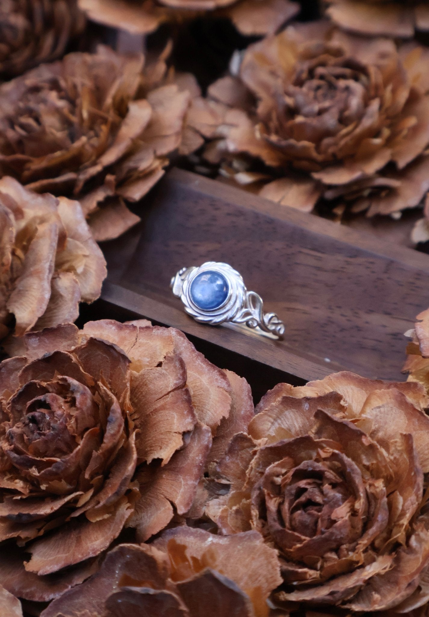 Echo - JEN DESIGNRINGS