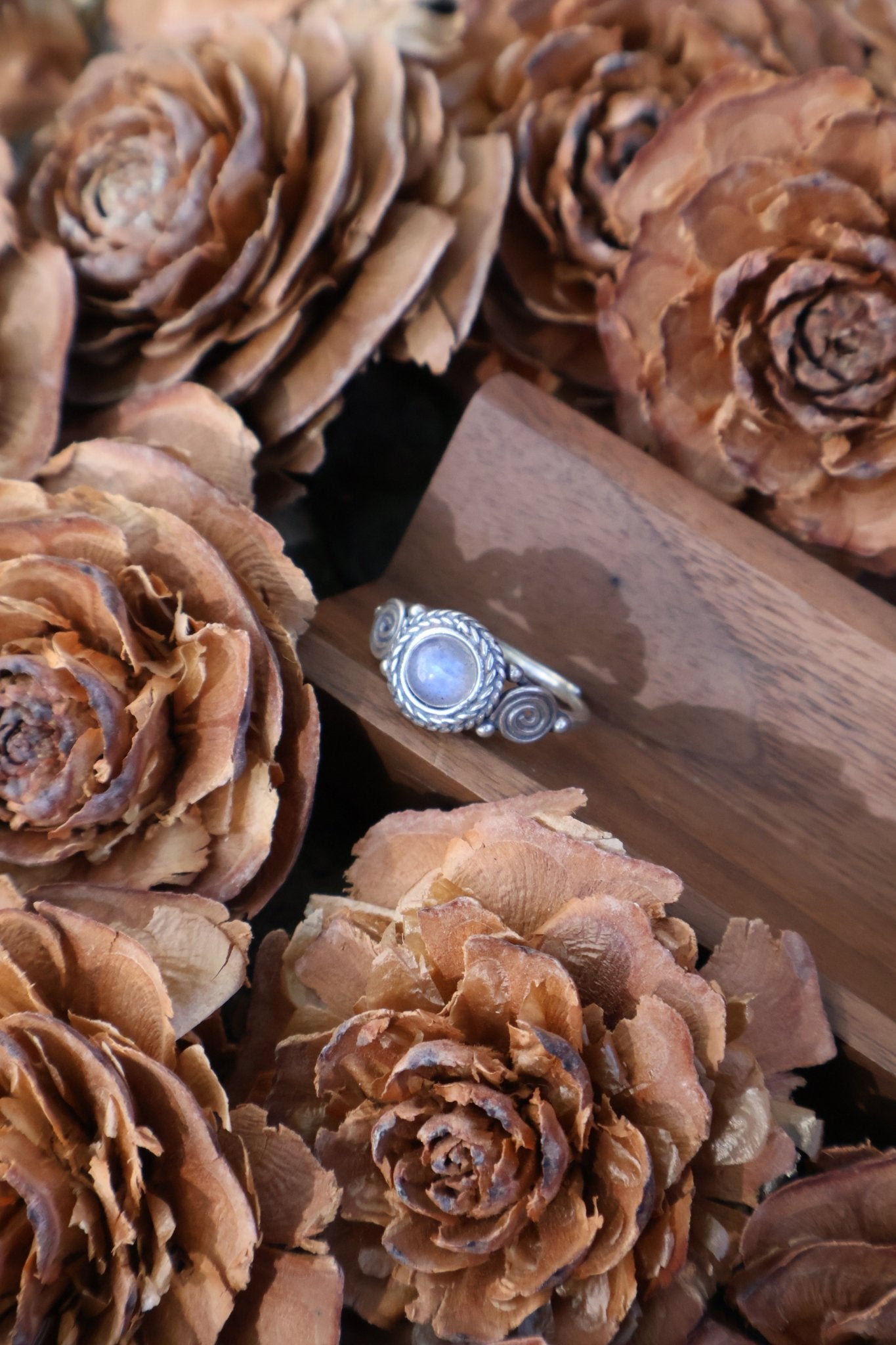 Odyssey - JEN DESIGNRINGS