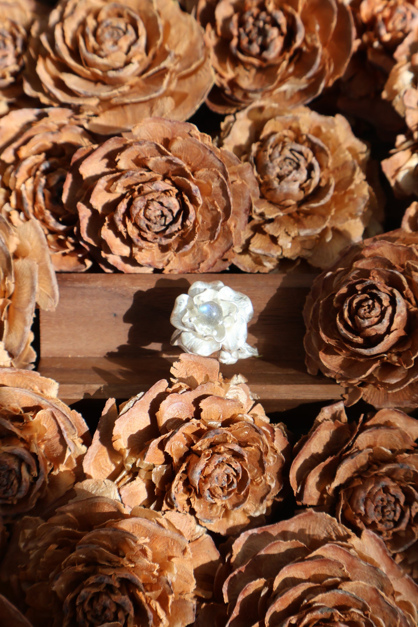 Bloom & Thorn