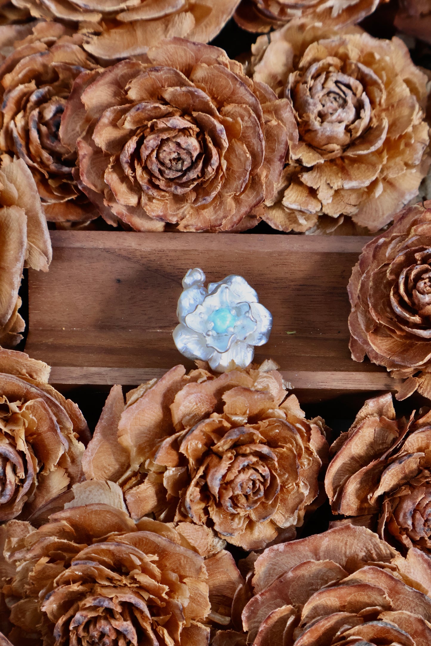 Bloom & Thorn