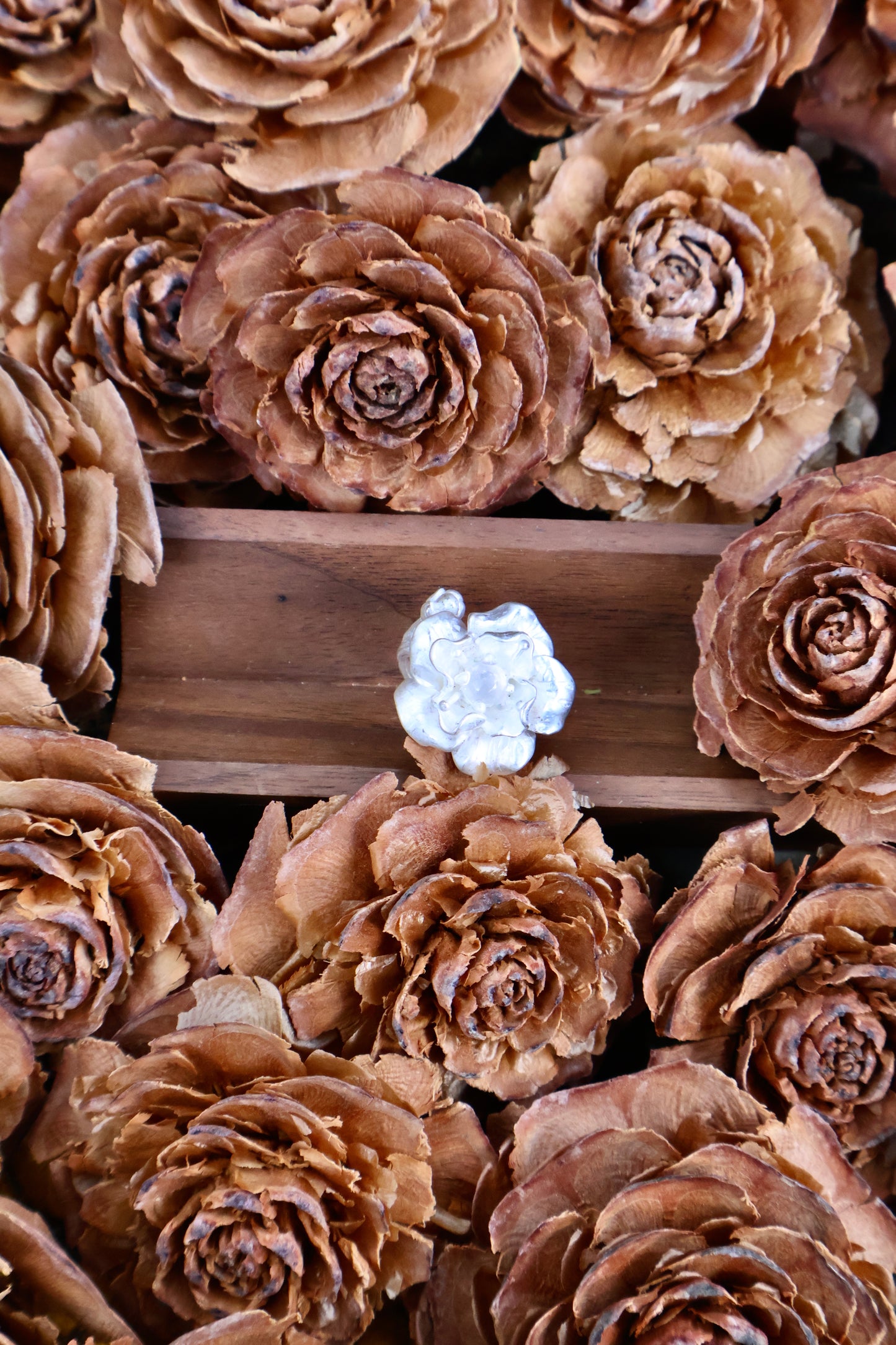 Bloom & Thorn