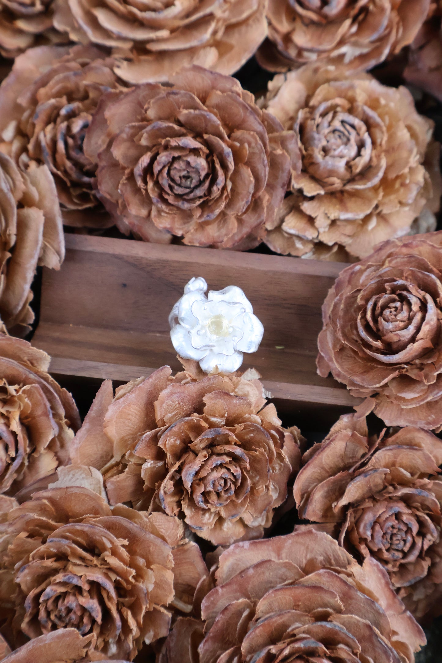 Bloom & Thorn
