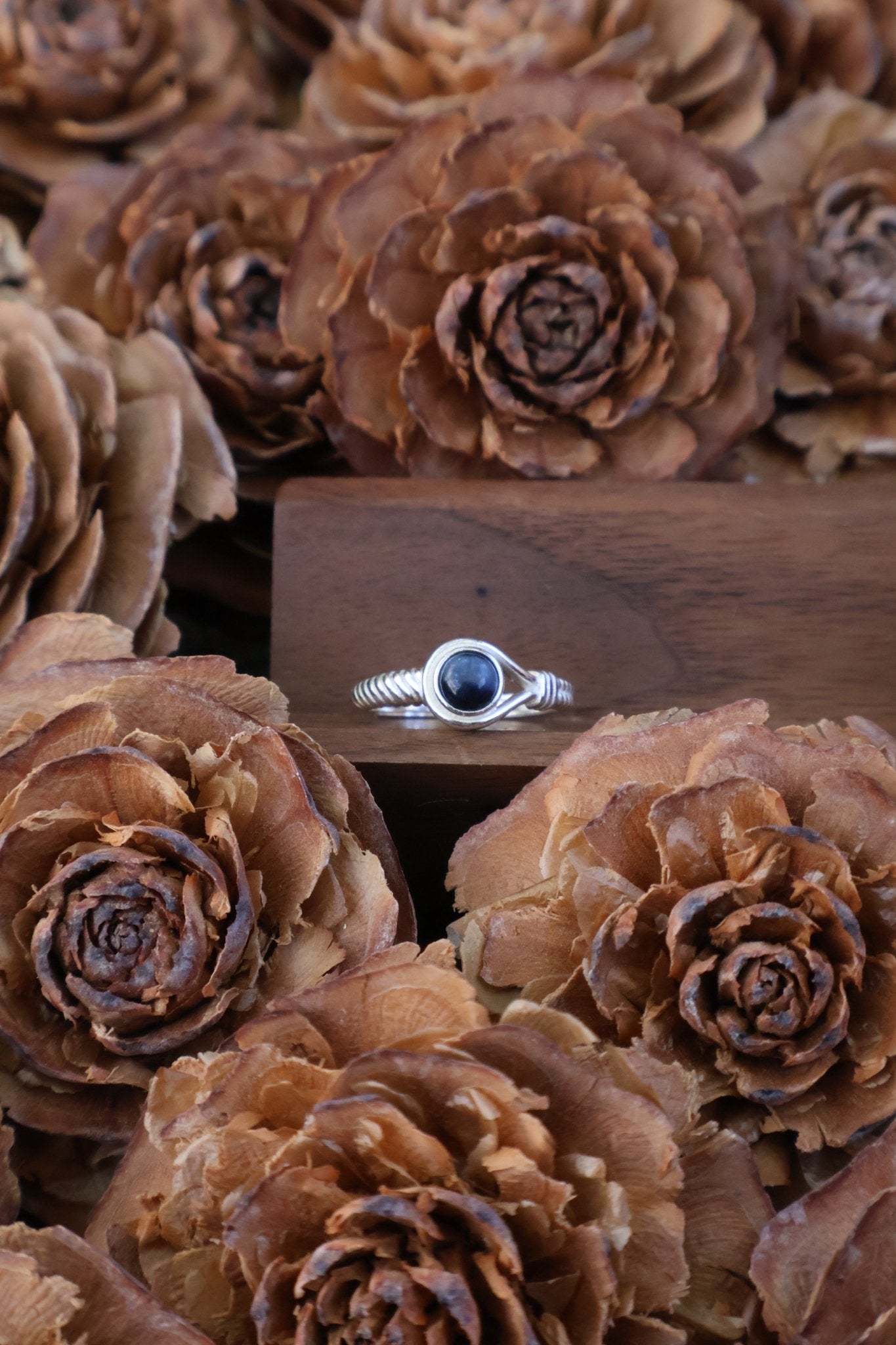 Aegis circle - JEN DESIGNRINGS