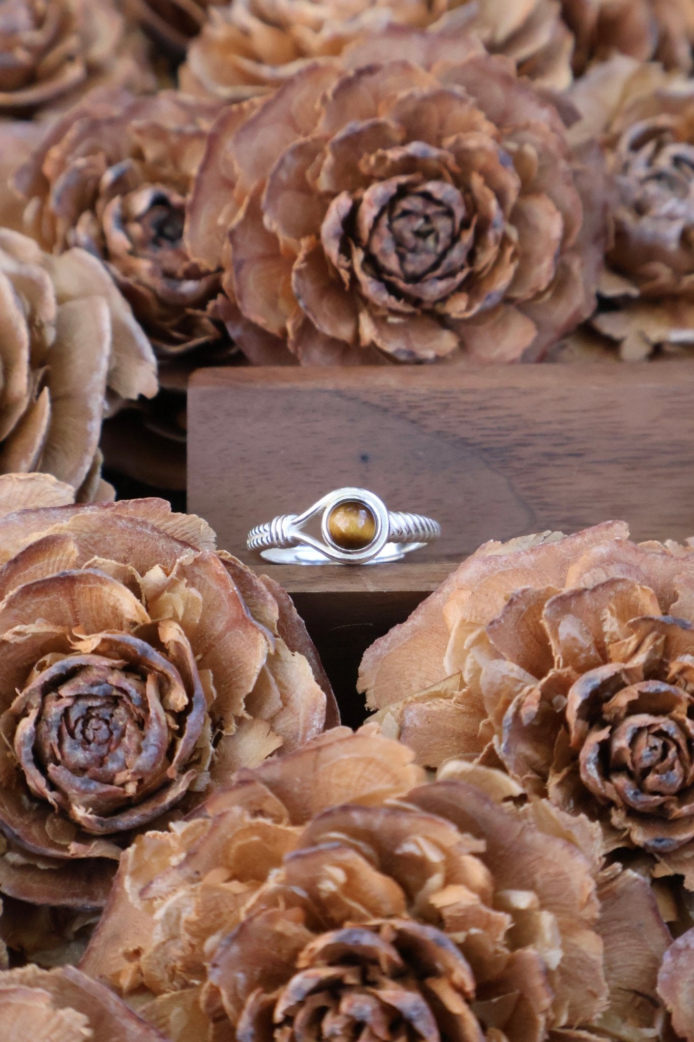 Aegis circle - JEN DESIGNRINGS