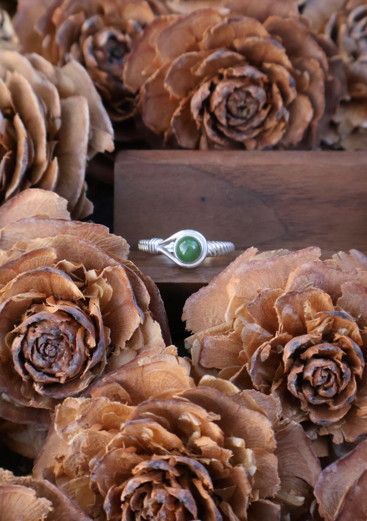 Aegis circle - JEN DESIGNRINGS