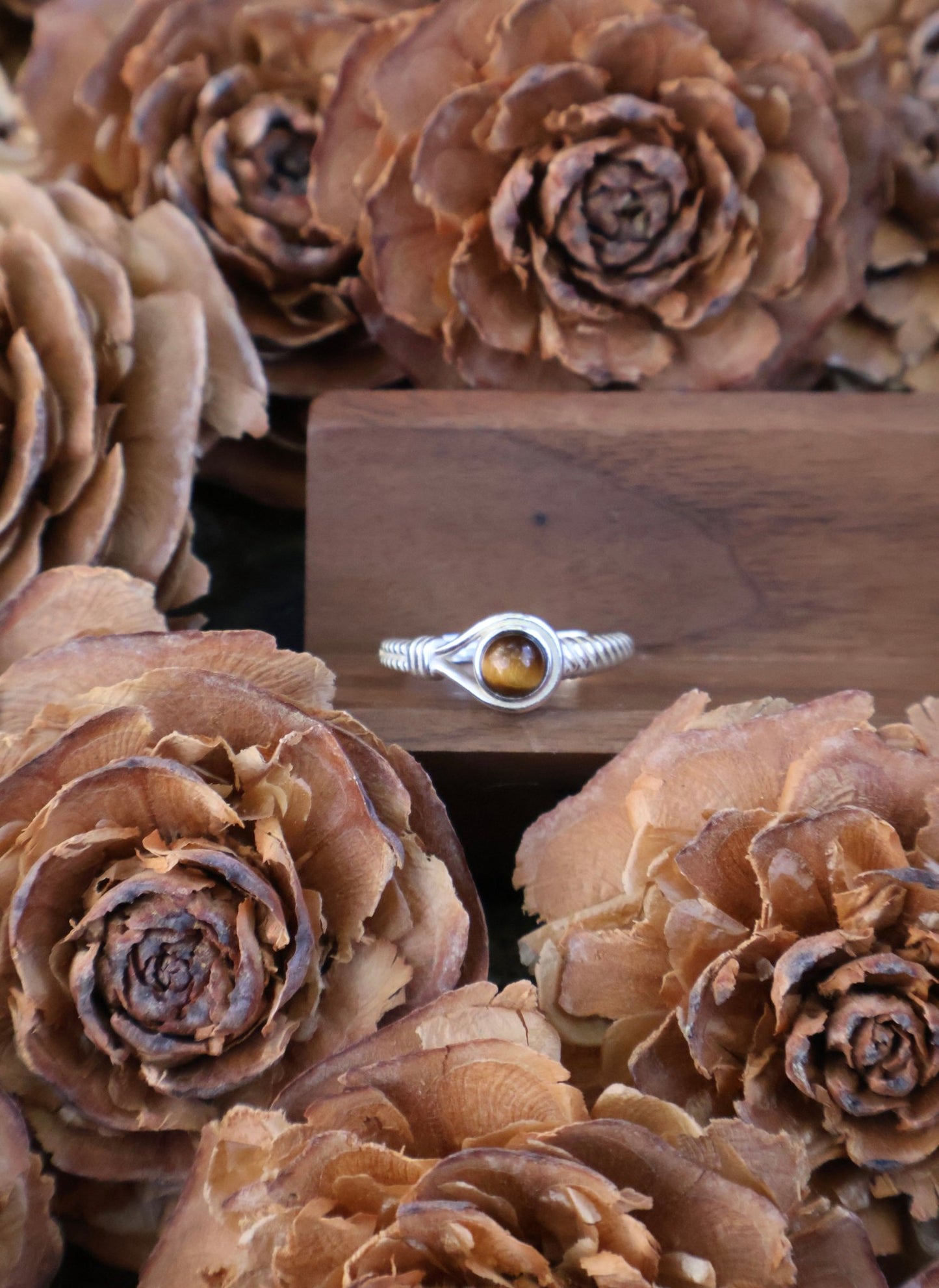 Aegis circle - JEN DESIGNRINGS