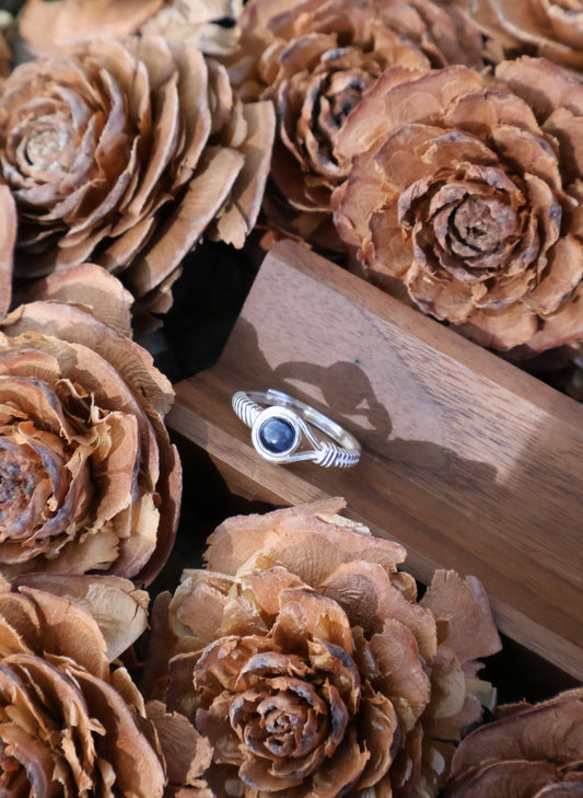 Aegis circle - JEN DESIGNRINGS