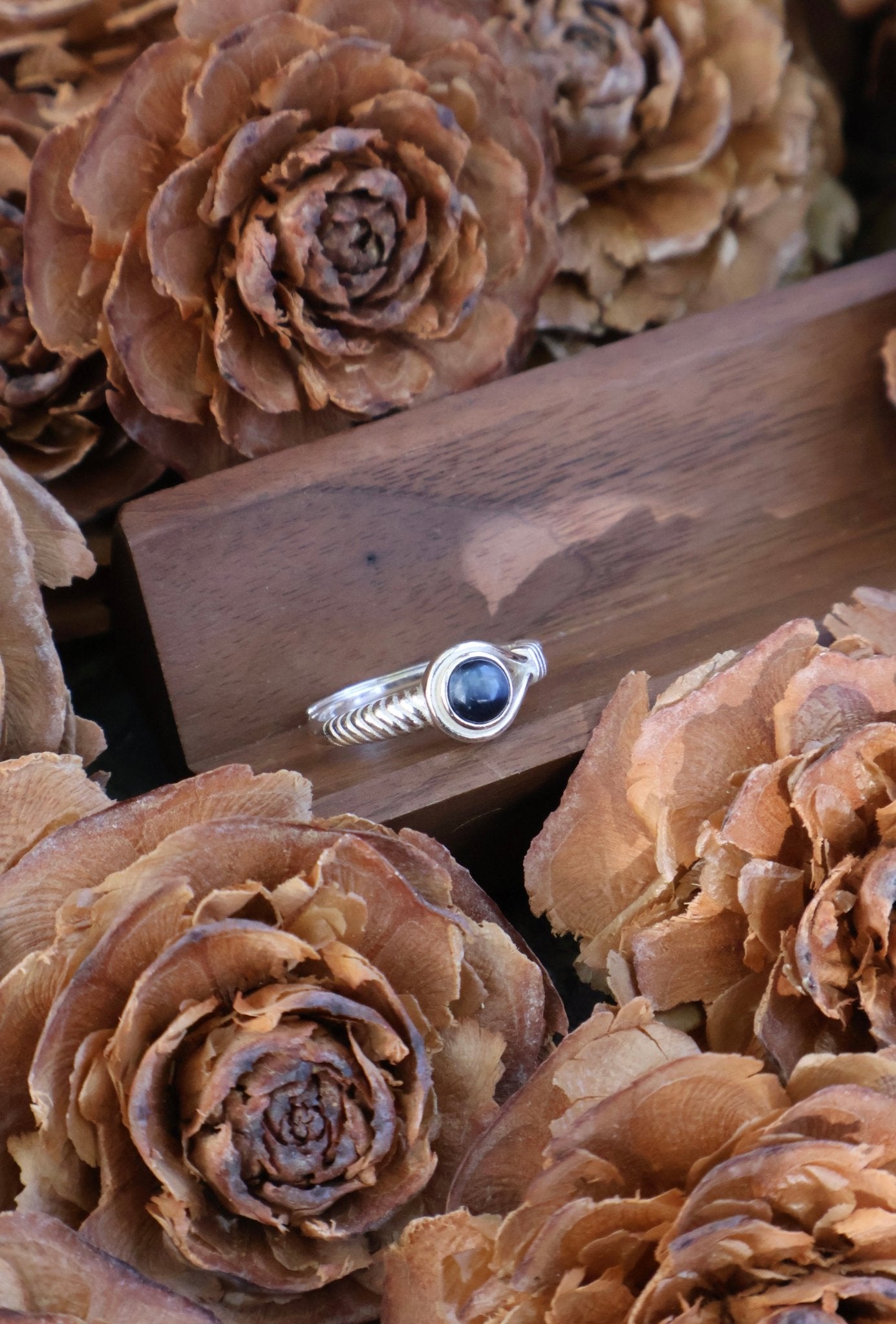 Aegis circle - JEN DESIGNRINGS