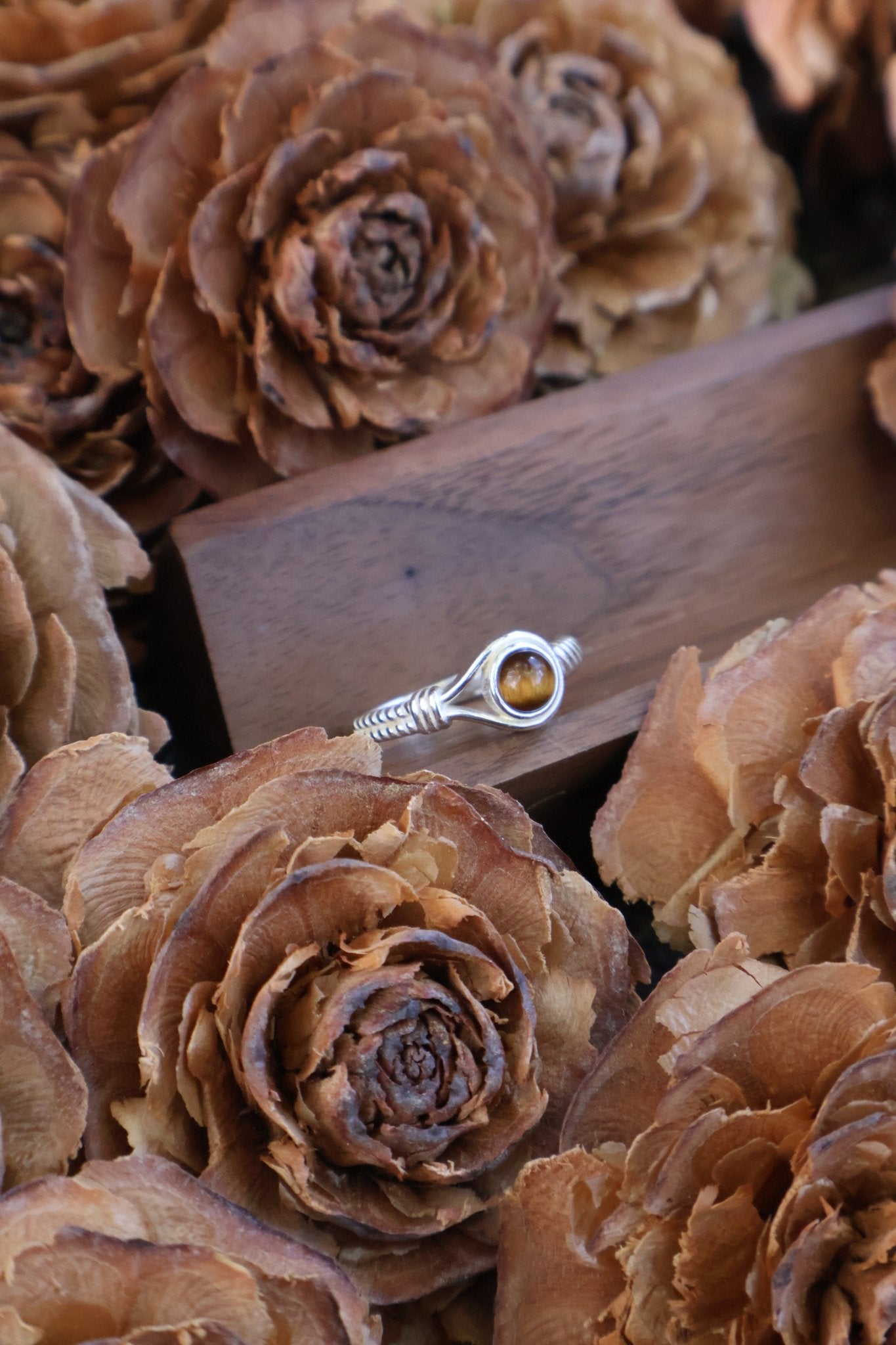 Aegis circle - JEN DESIGNRINGS