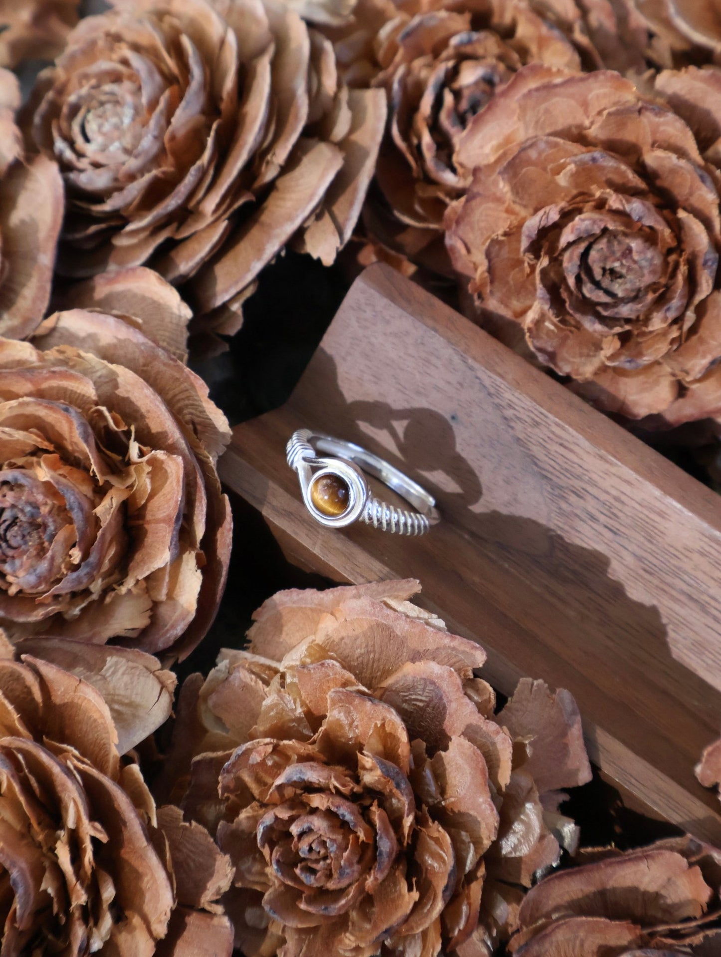 Aegis circle - JEN DESIGNRINGS