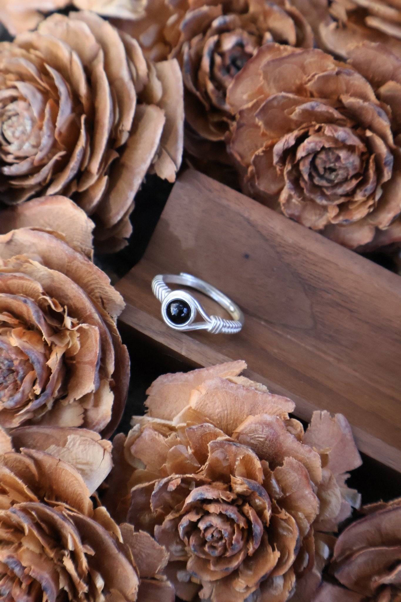 Aegis circle - JEN DESIGNRINGS