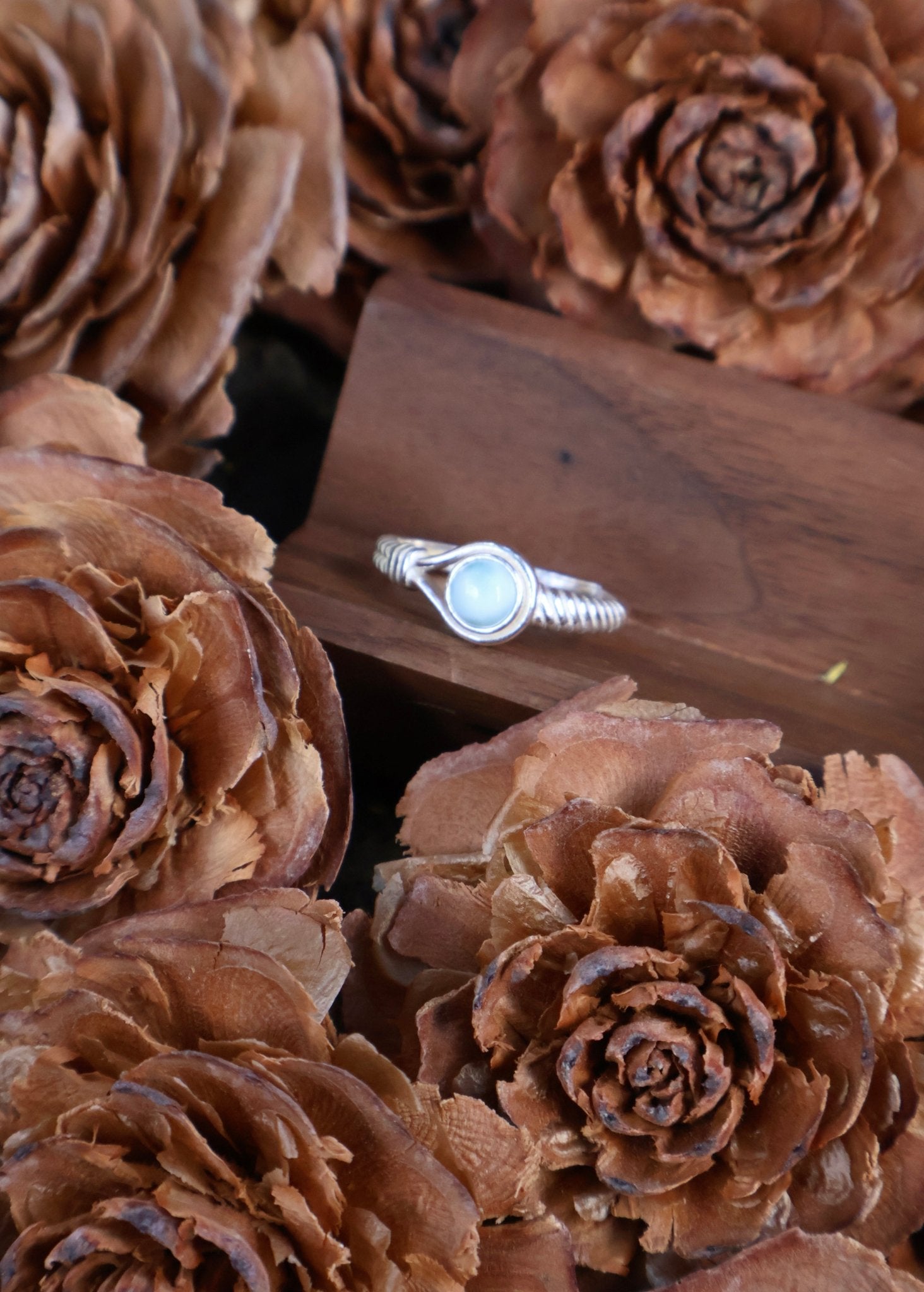 Aegis circle - JEN DESIGNRINGS