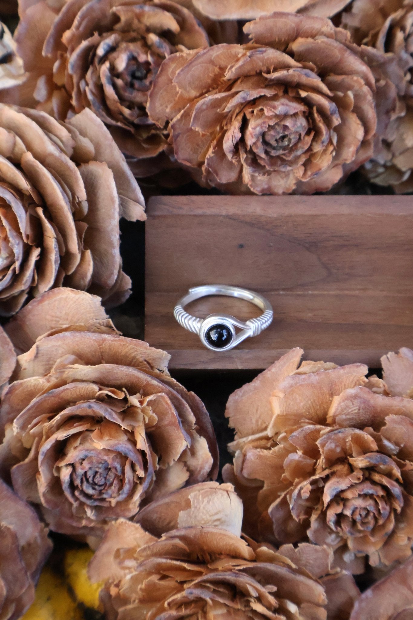 Aegis circle - JEN DESIGNRINGS