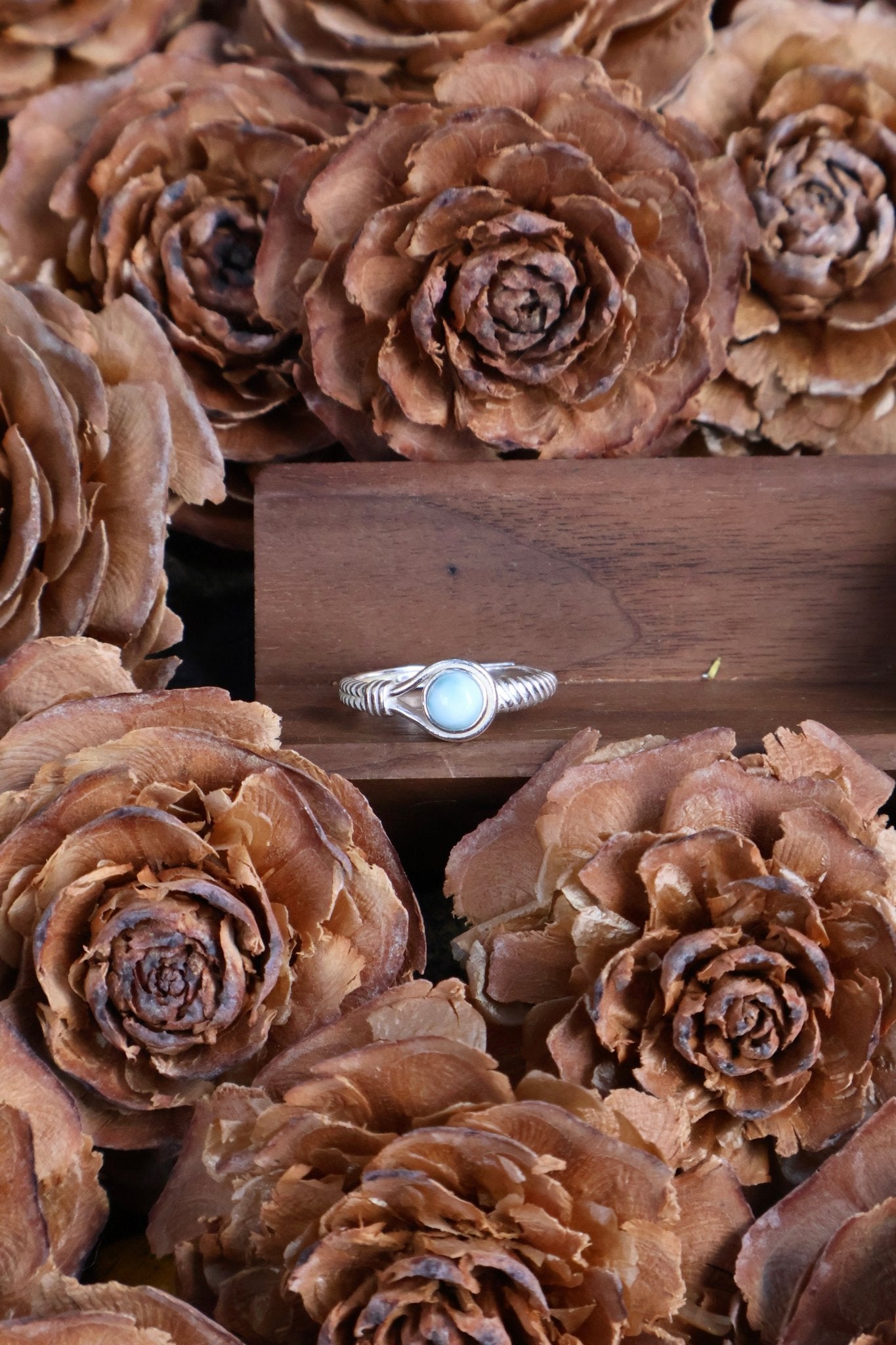 Aegis circle - JEN DESIGNRINGS