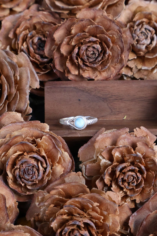 Aegis circle - JEN DESIGNRINGS