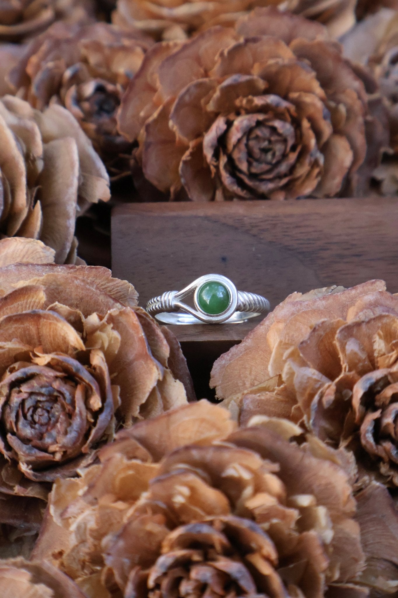 Aegis circle - JEN DESIGNRINGS