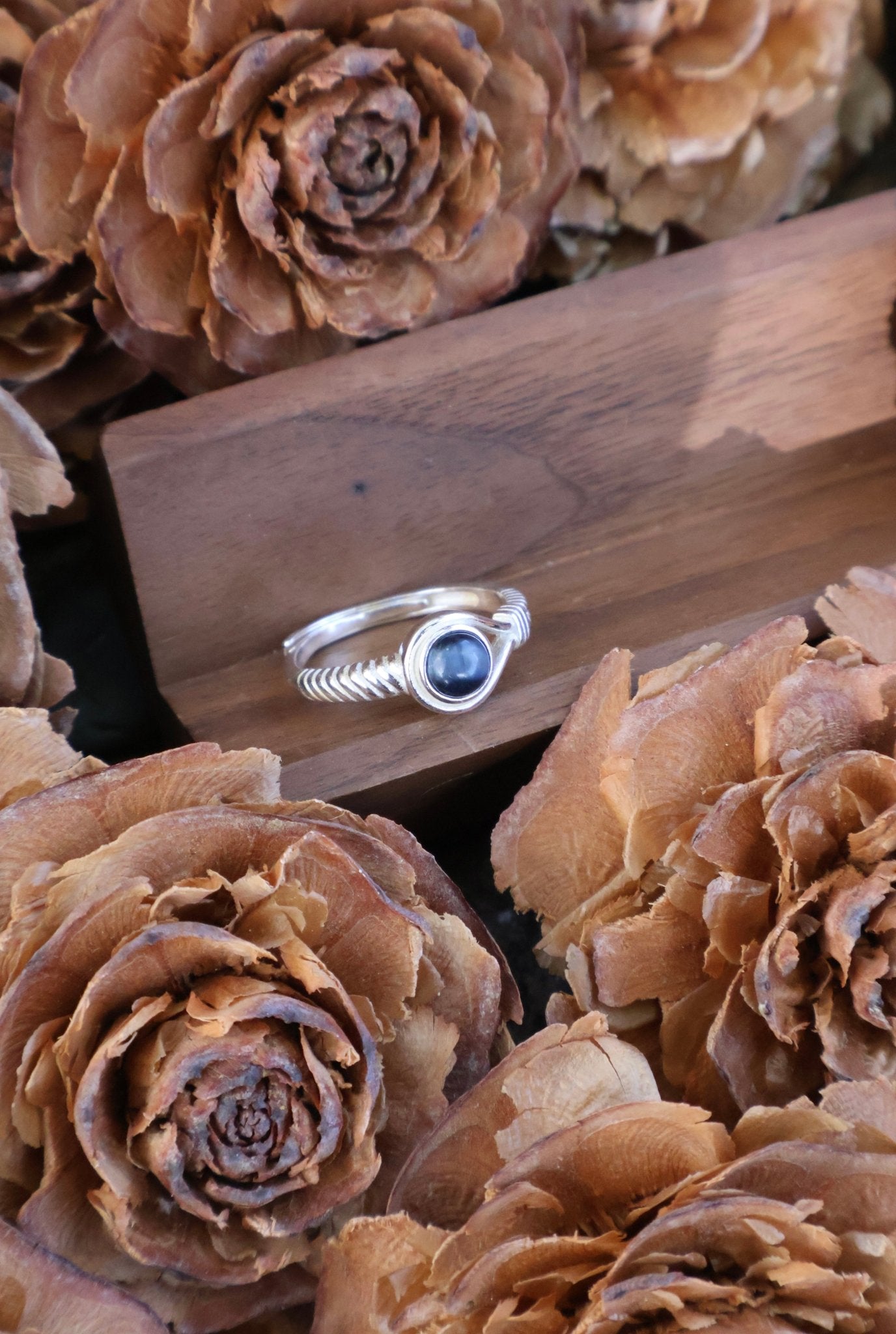 Aegis circle - JEN DESIGNRINGS