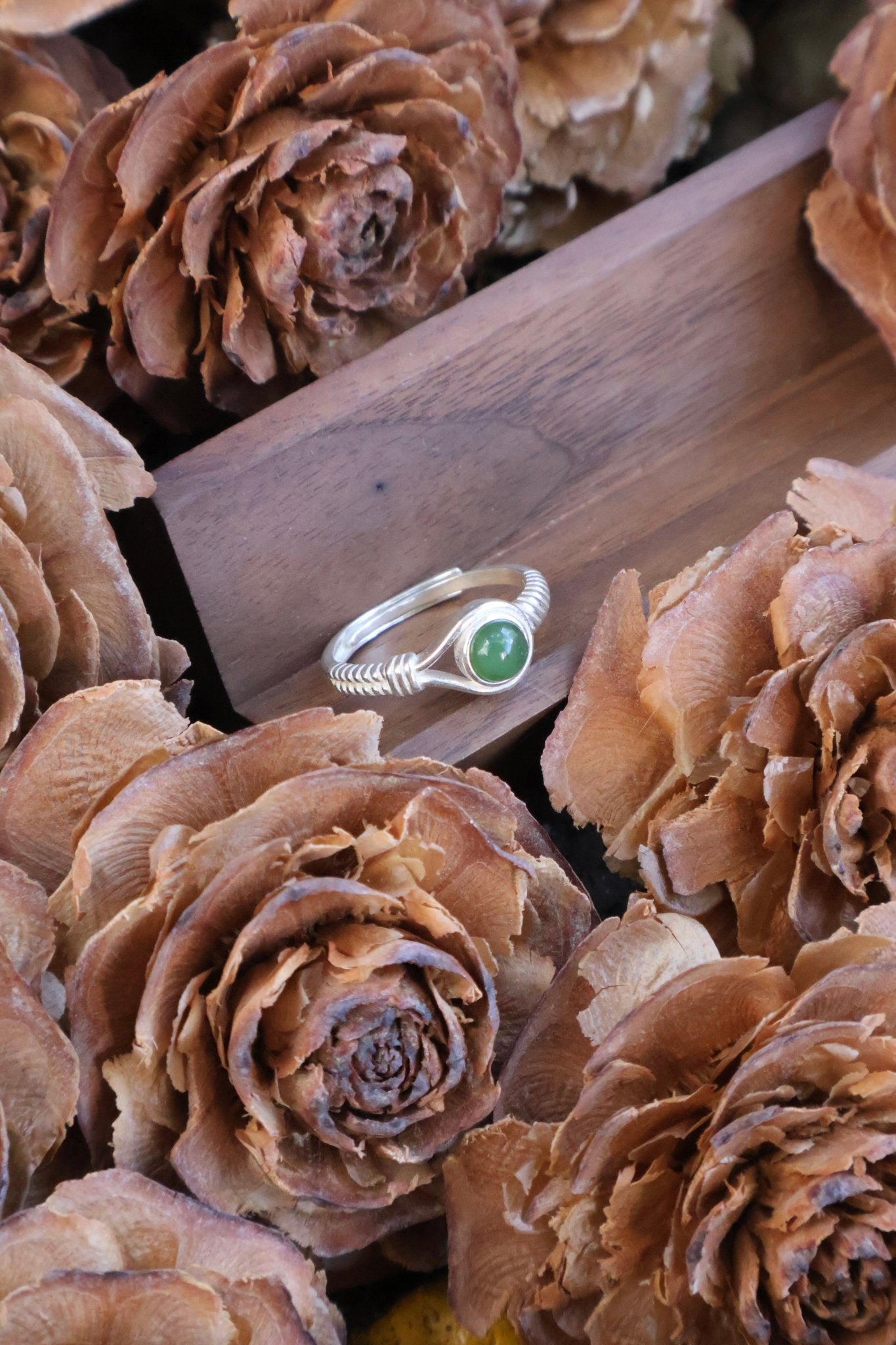 Aegis circle - JEN DESIGNRINGS