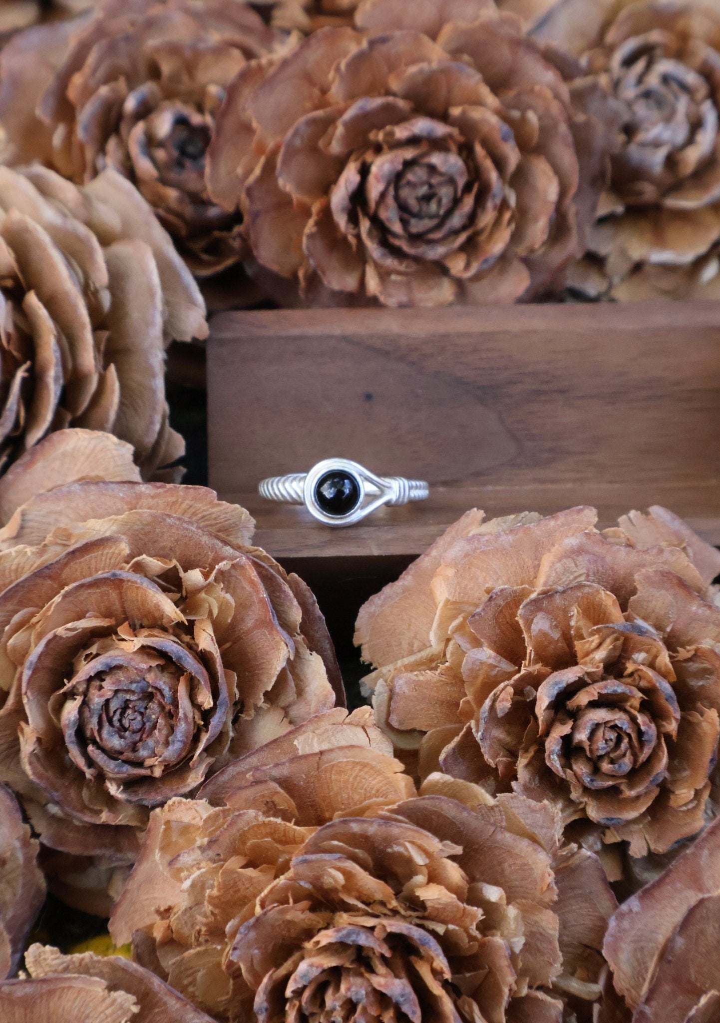 Aegis circle - JEN DESIGNRINGS