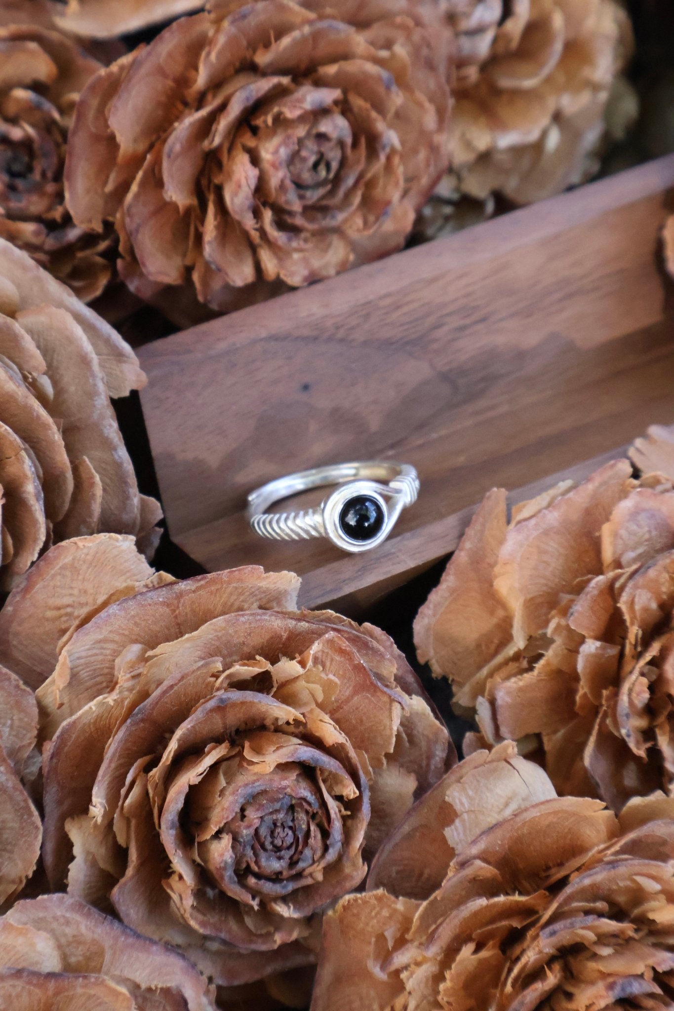 Aegis circle - JEN DESIGNRINGS