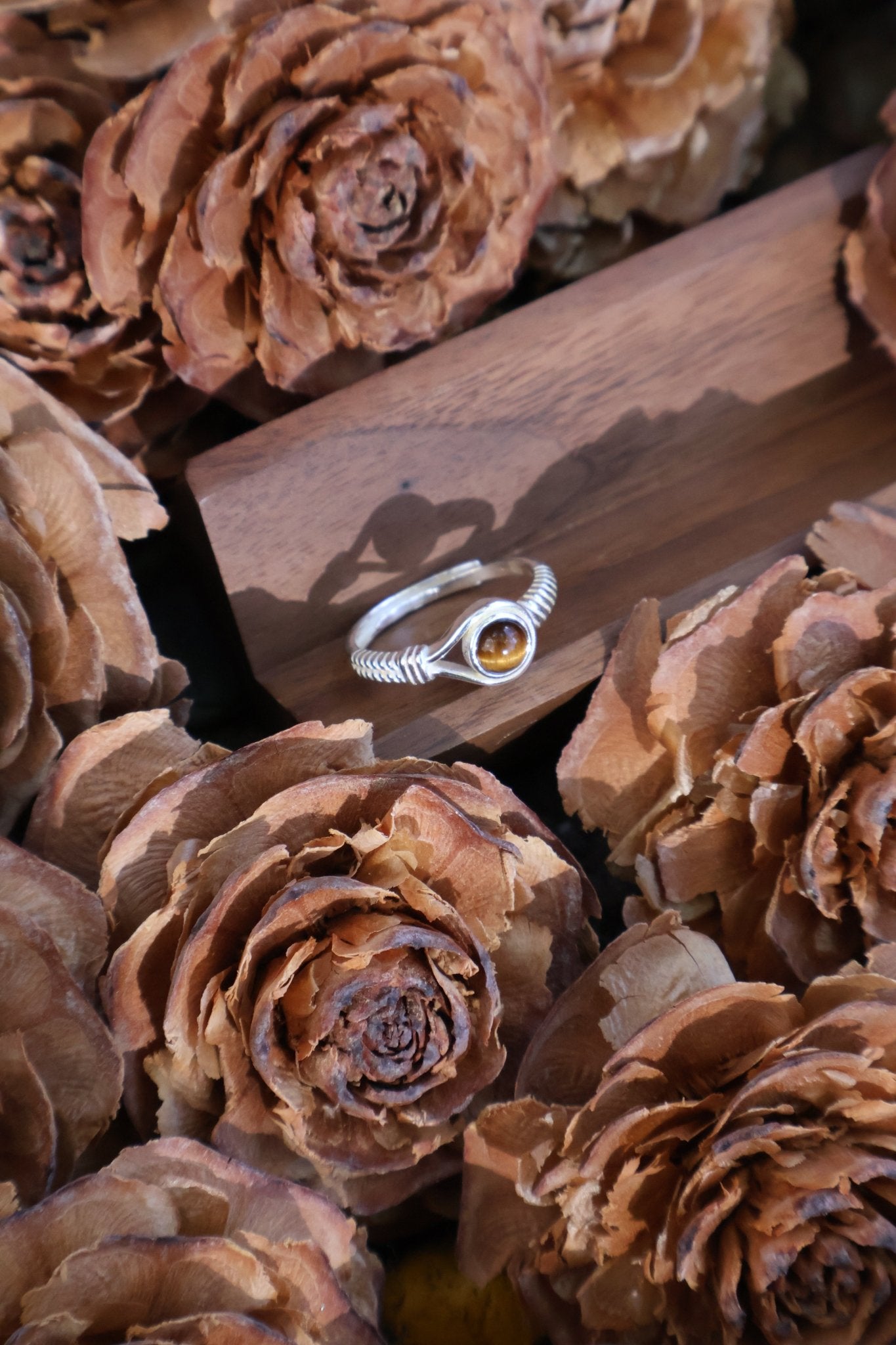 Aegis circle - JEN DESIGNRINGS