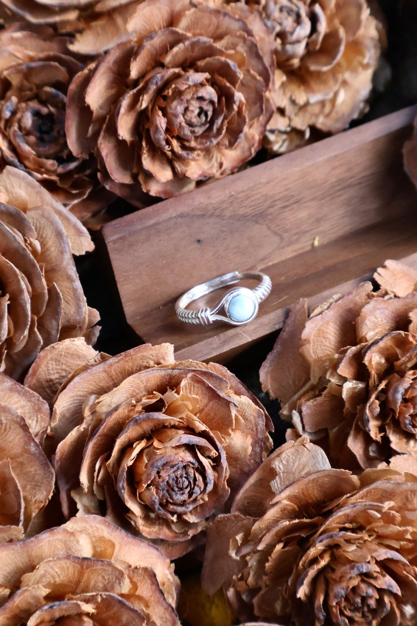 Aegis circle - JEN DESIGNRINGS