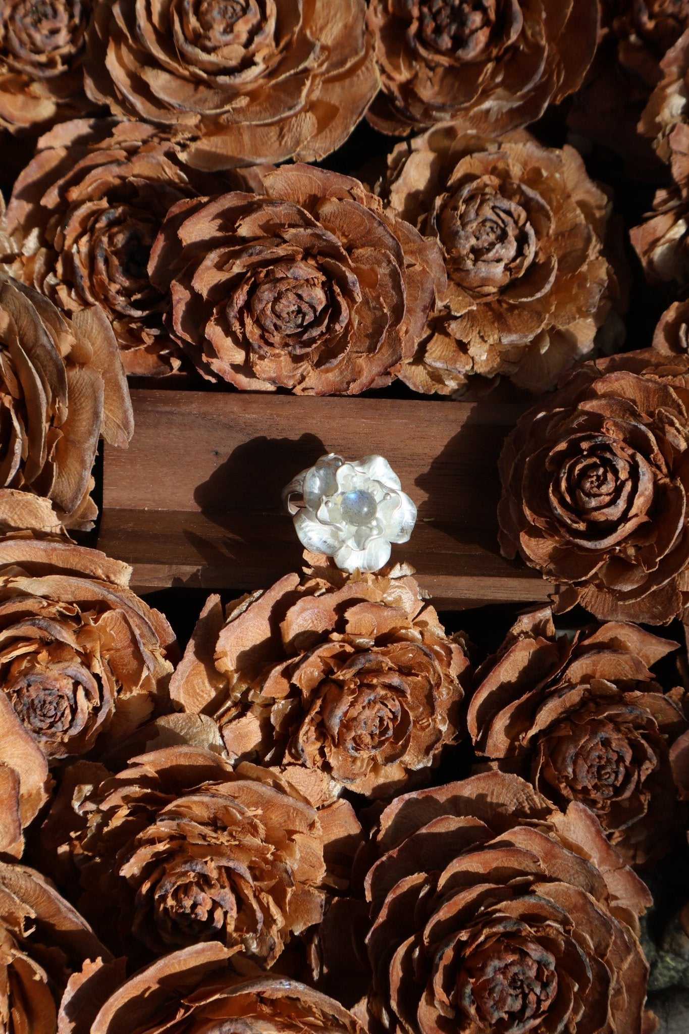 Bloom & Thorn - JEN DESIGNRINGS