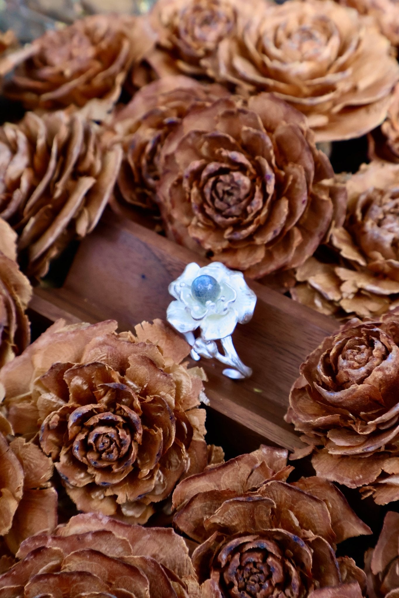 Bloom & Thorn - JEN DESIGNRINGS