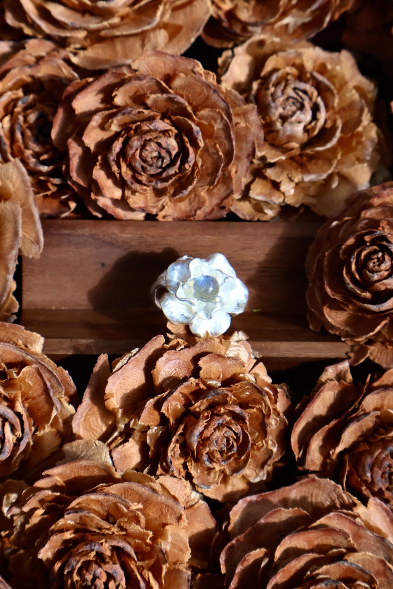 Bloom & Thorn - JEN DESIGNRINGS