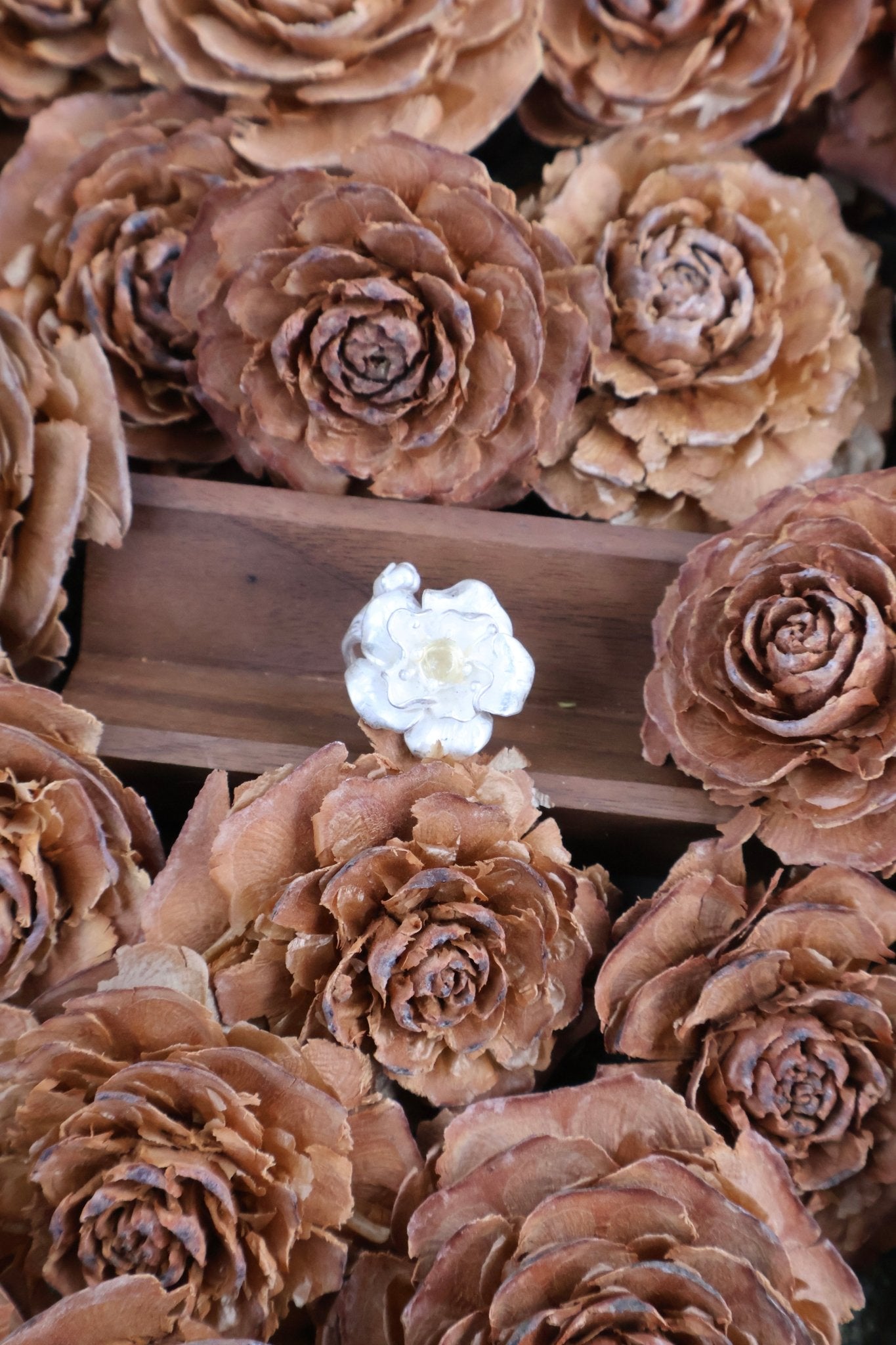 Bloom & Thorn - JEN DESIGNRINGS