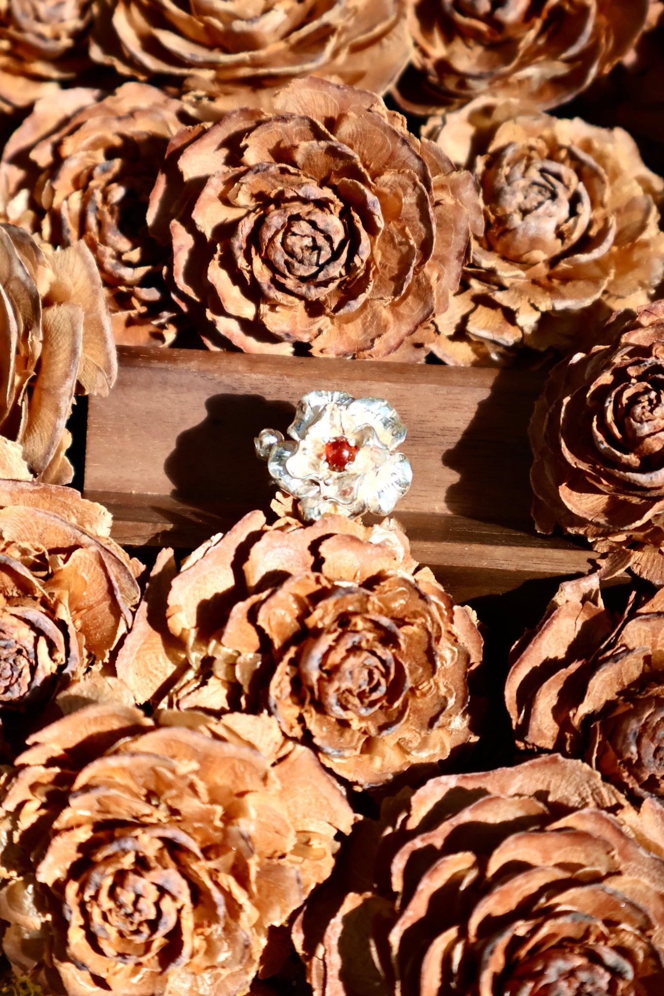 Bloom & Thorn - JEN DESIGNRINGS