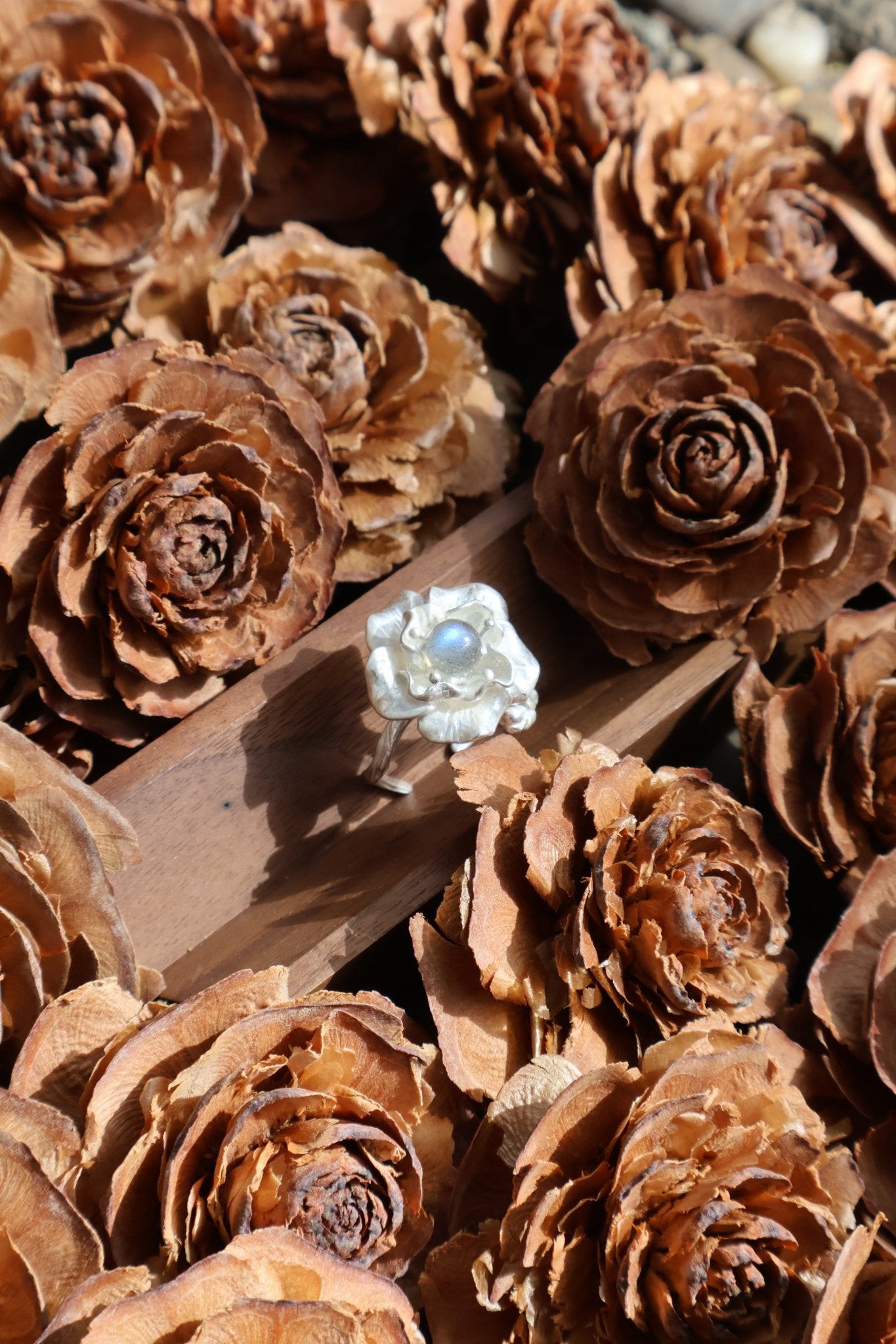 Bloom & Thorn - JEN DESIGNRINGS