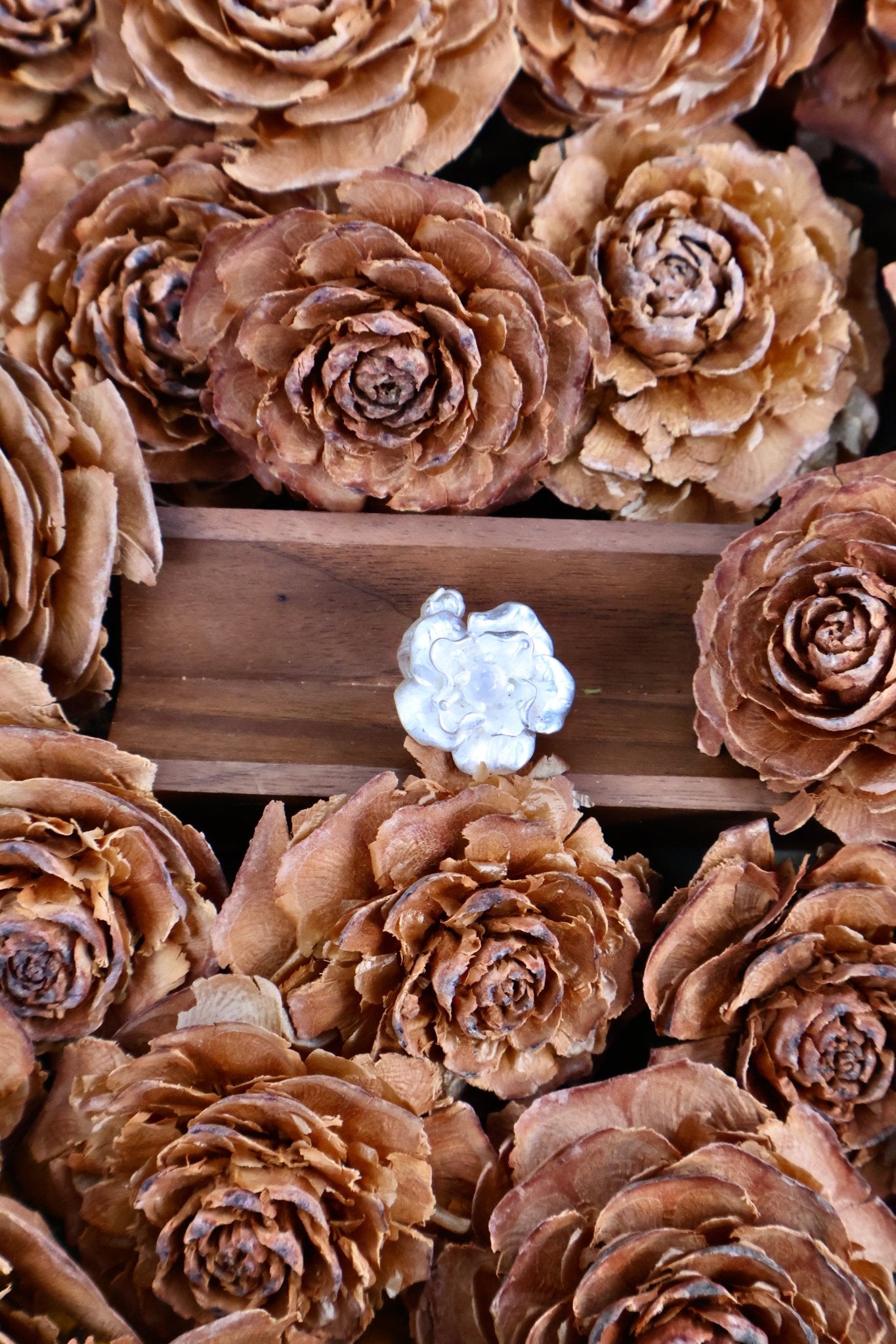 Bloom & Thorn - JEN DESIGNRINGS