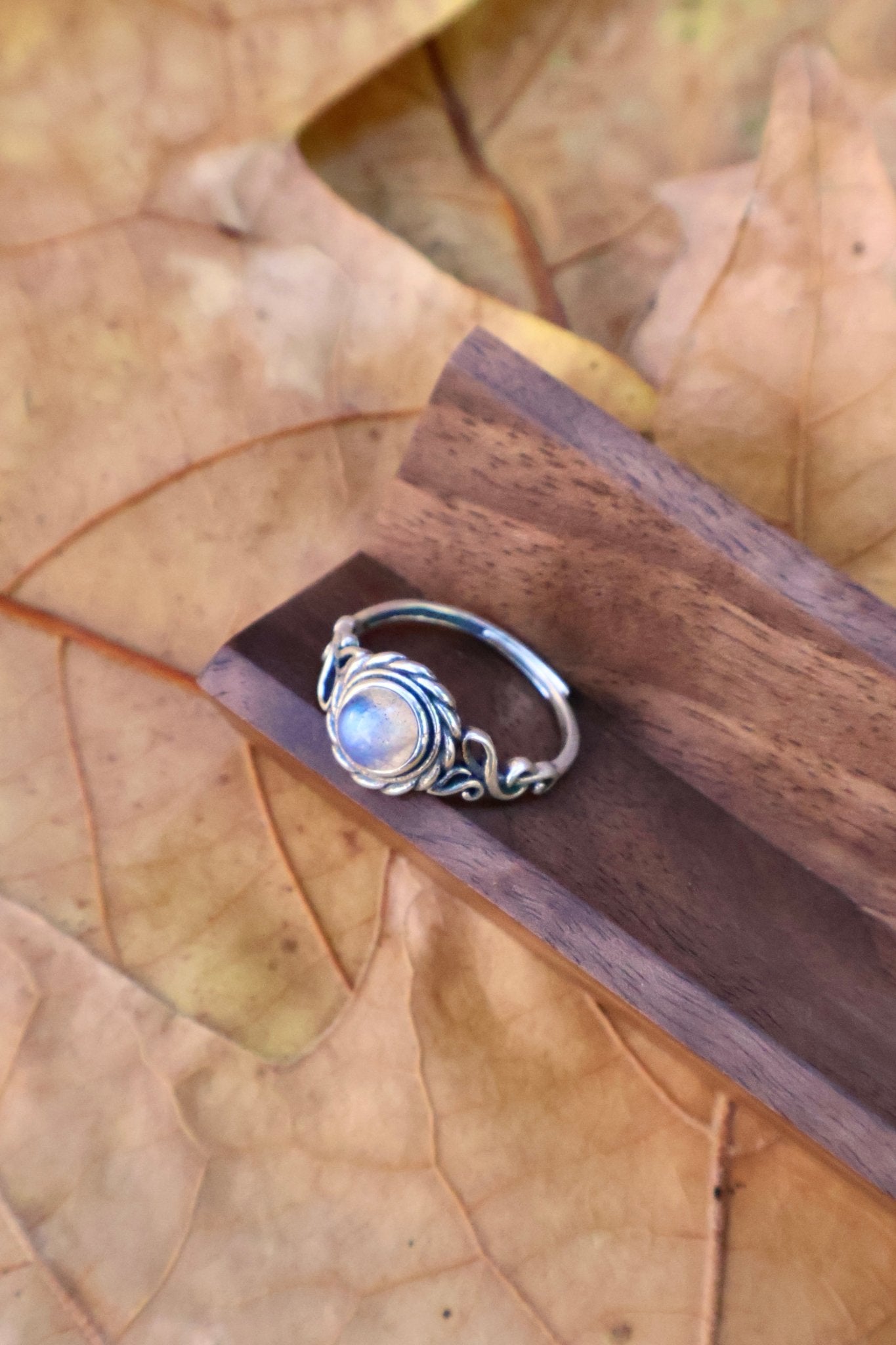 Echo - JEN DESIGNRINGS