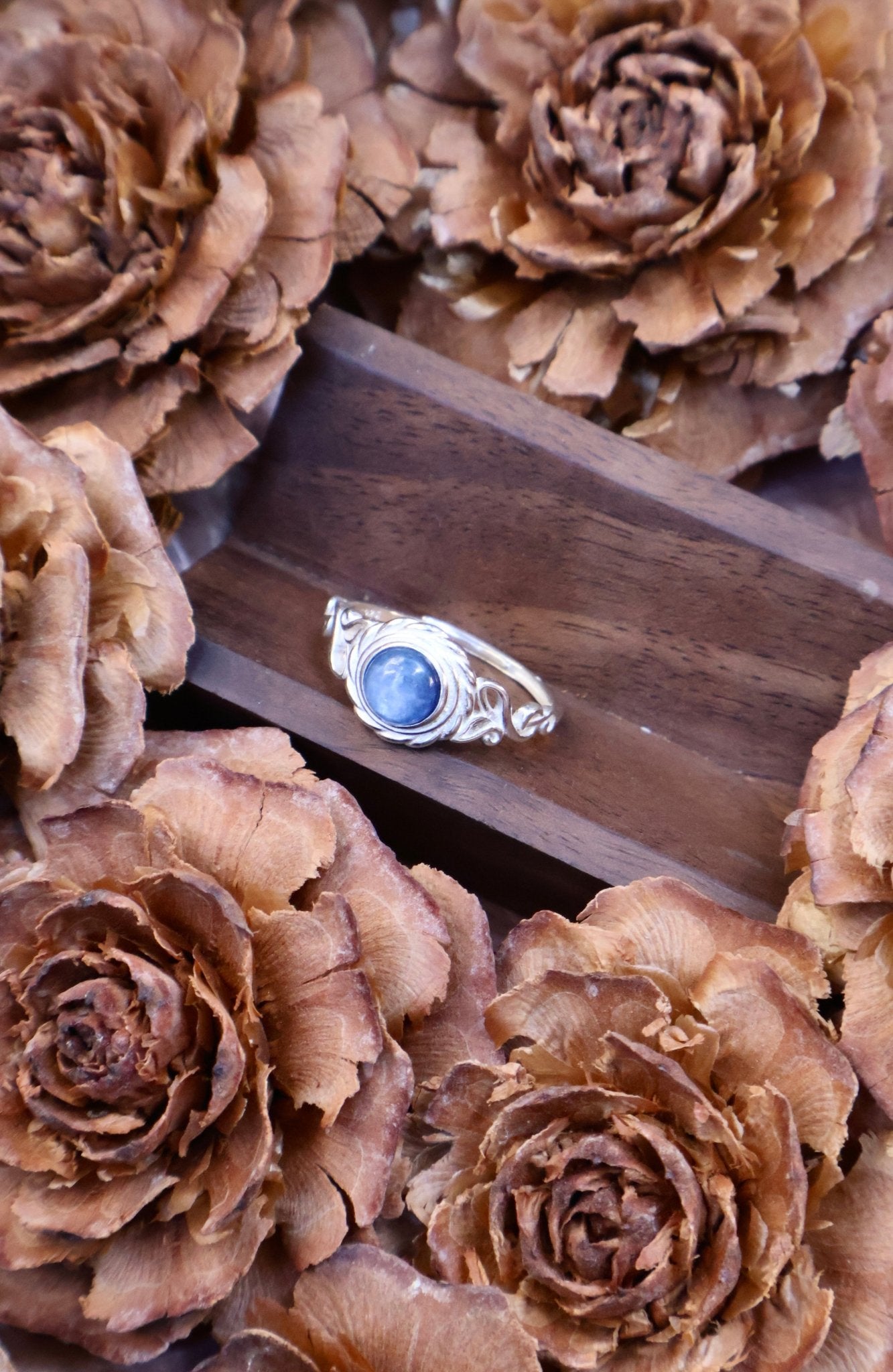 Echo - JEN DESIGNRINGS