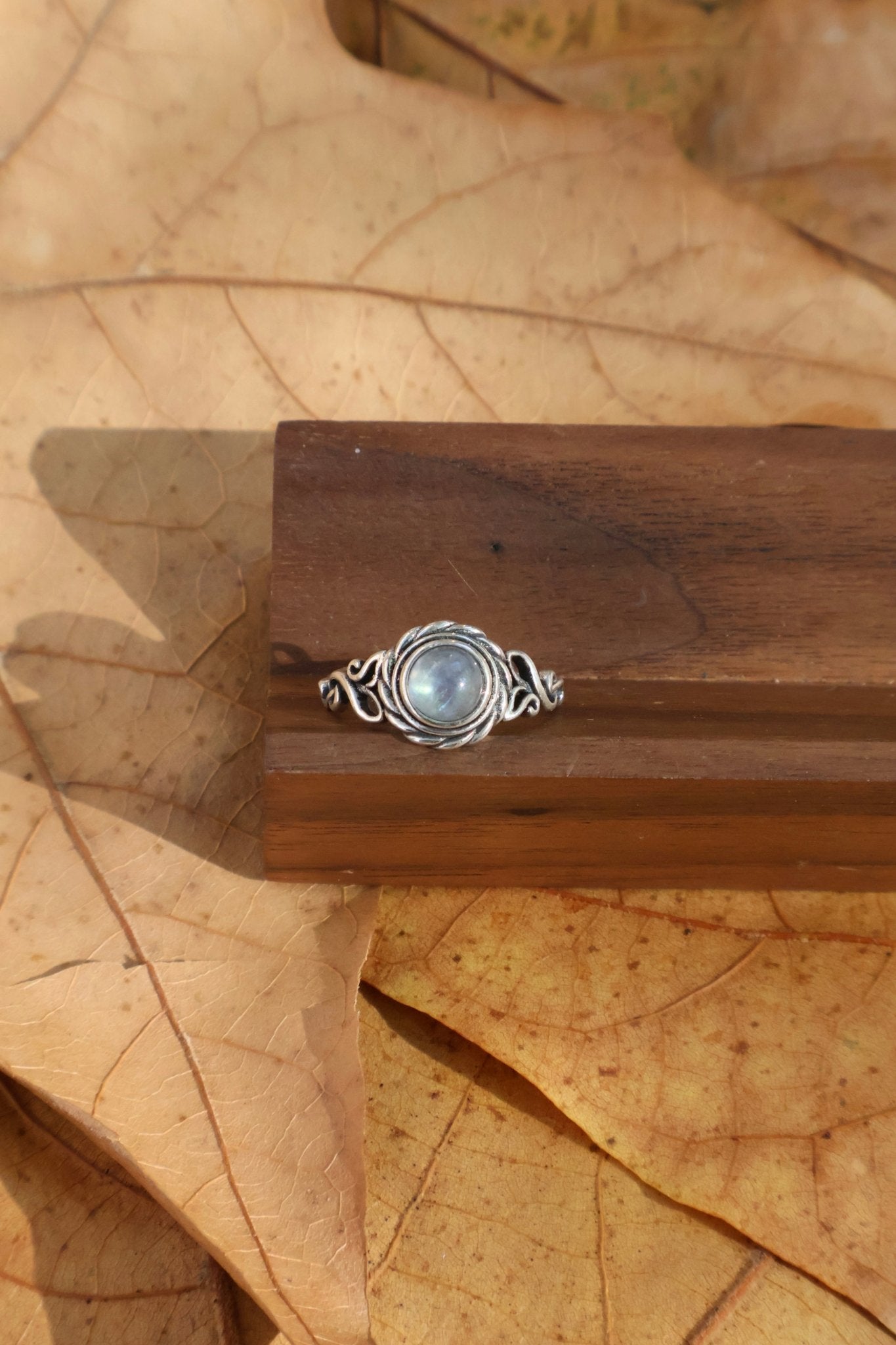 Echo - JEN DESIGNRINGS