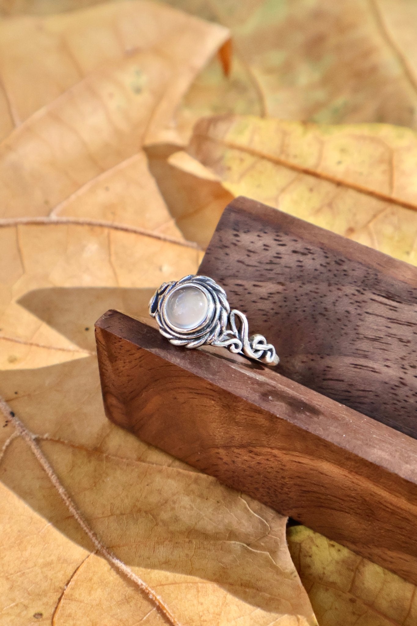 Echo - JEN DESIGNRINGS