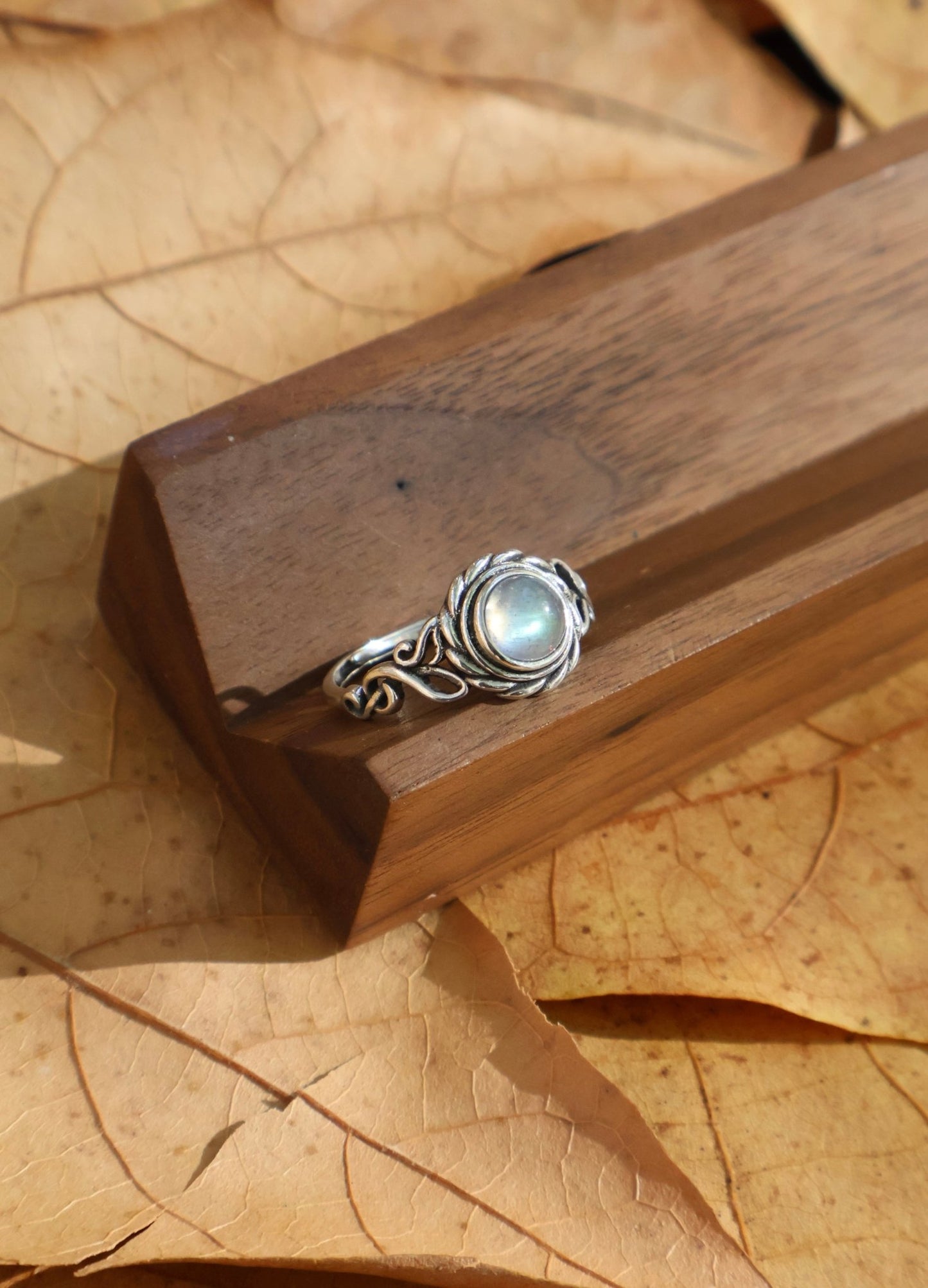 Echo - JEN DESIGNRINGS