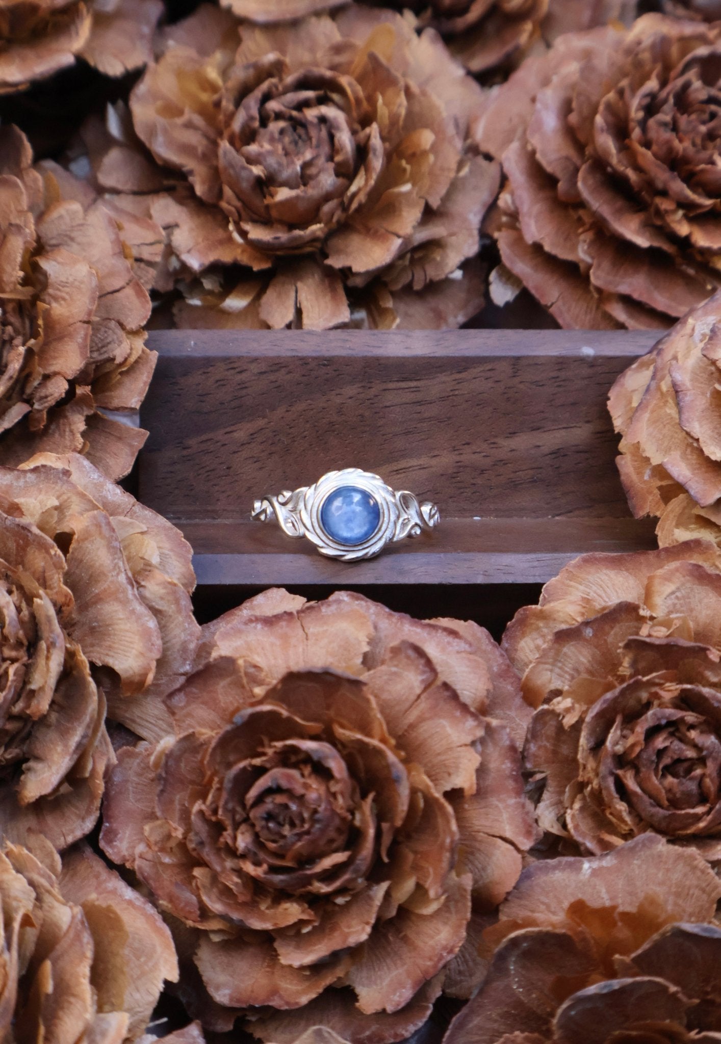 Echo - JEN DESIGNRINGS