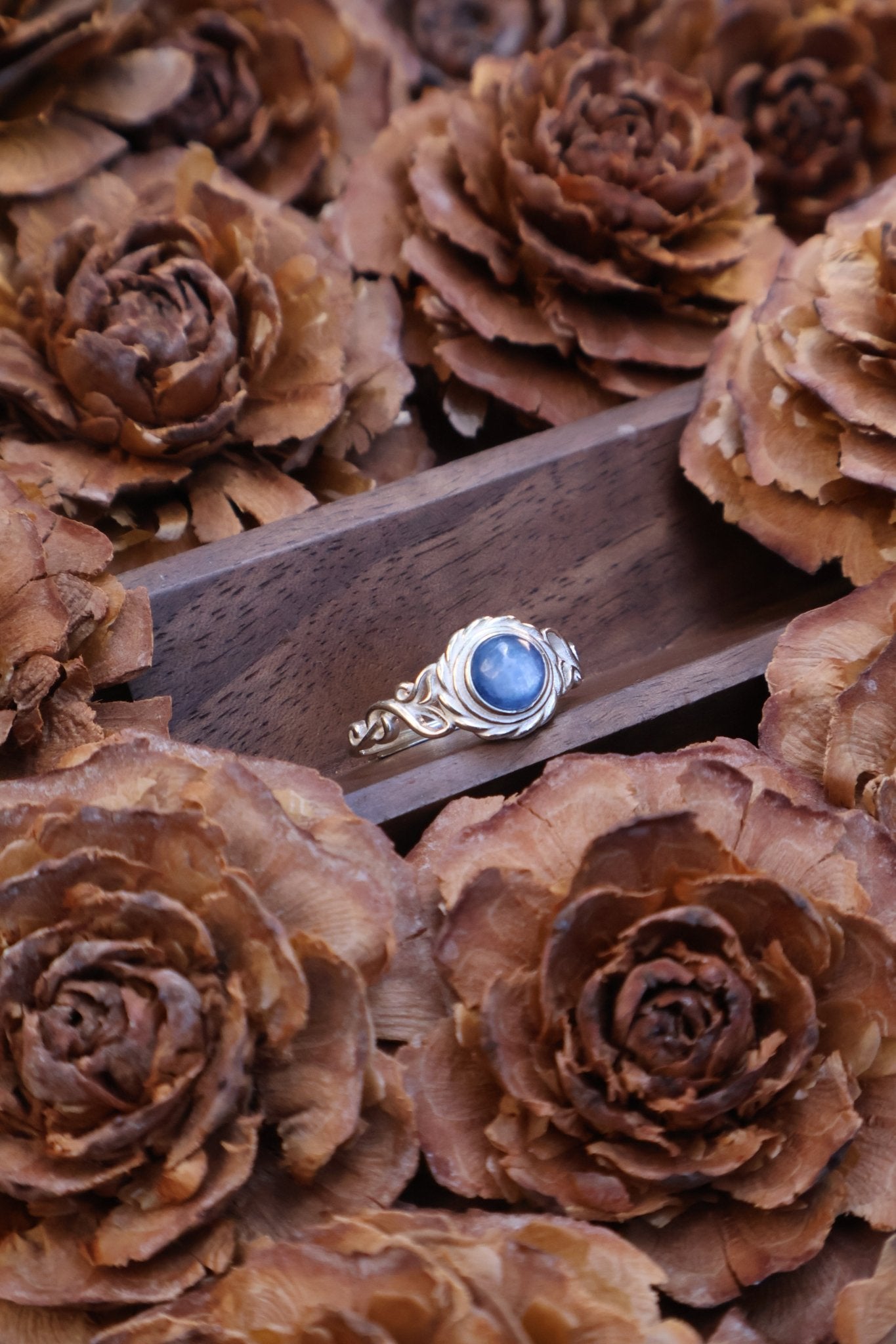 Echo - JEN DESIGNRINGS