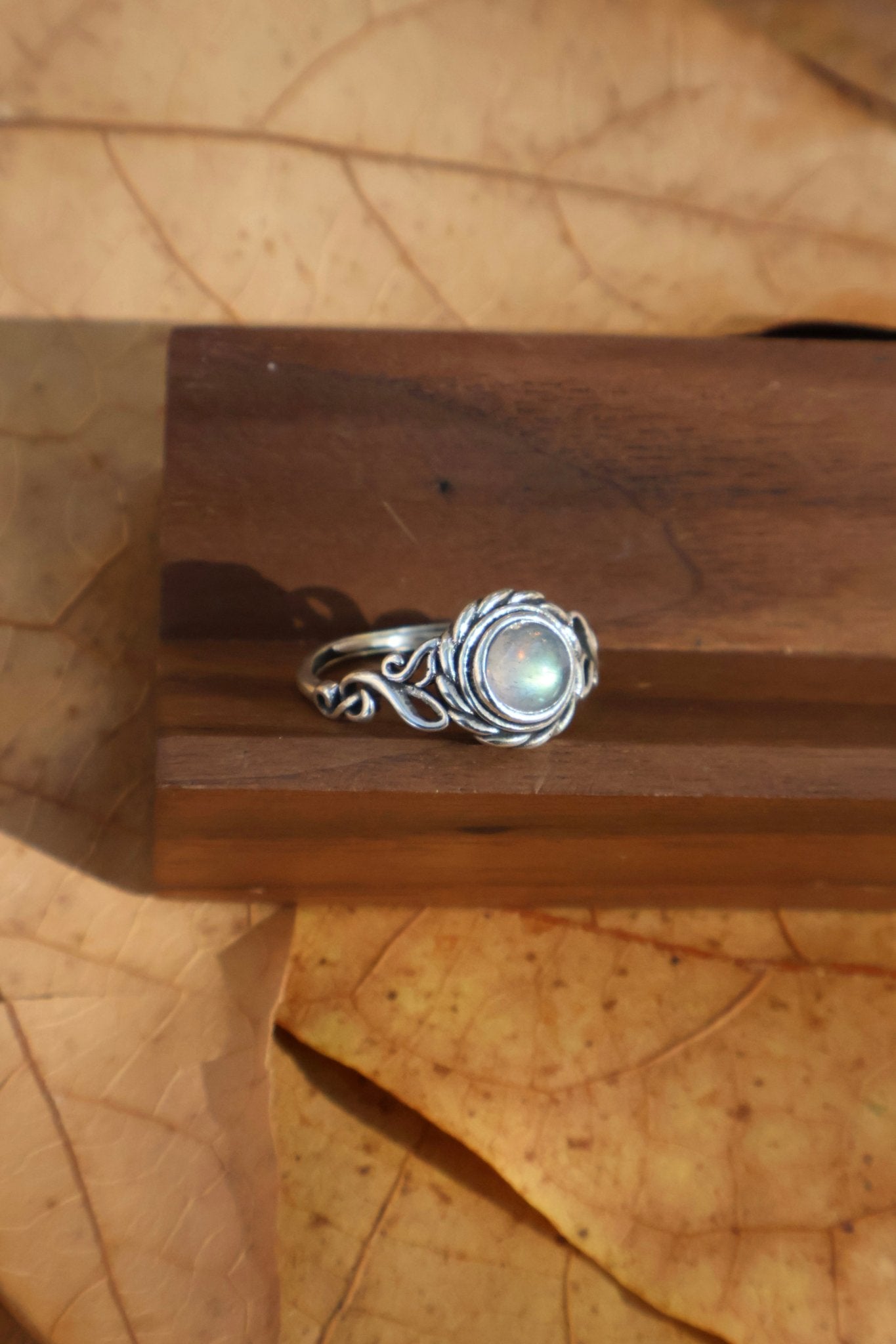 Echo - JEN DESIGNRINGS