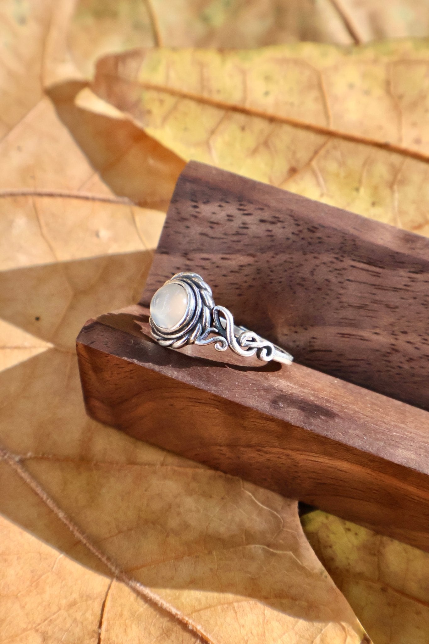 Echo - JEN DESIGNRINGS