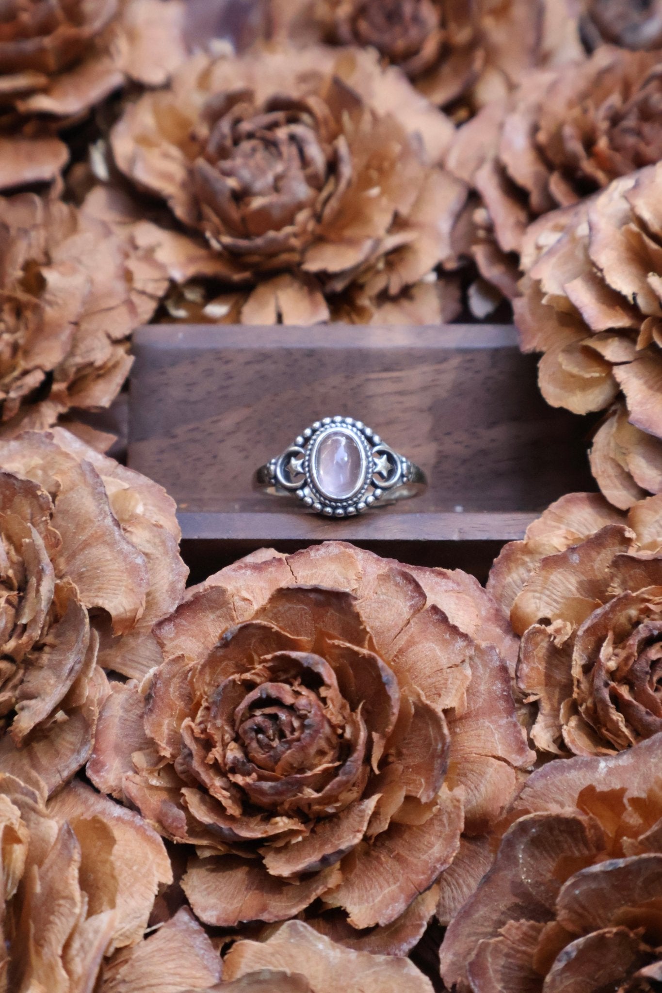 Galaxy - JEN DESIGNRINGS