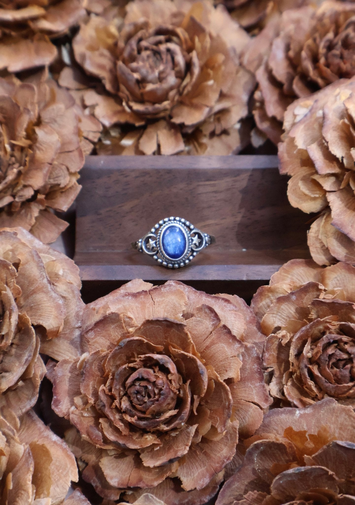Galaxy - JEN DESIGNRINGS