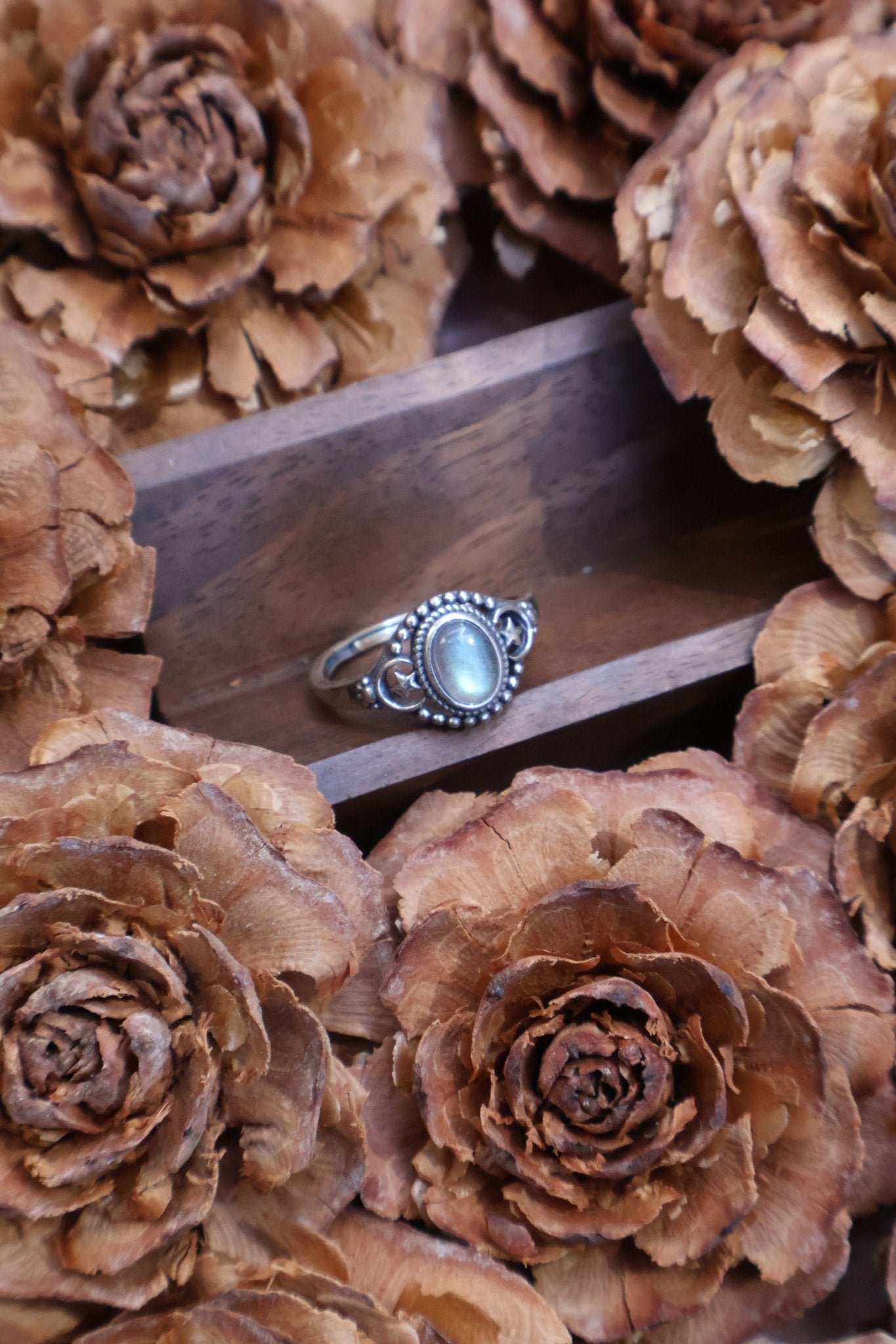 Galaxy - JEN DESIGNRINGS