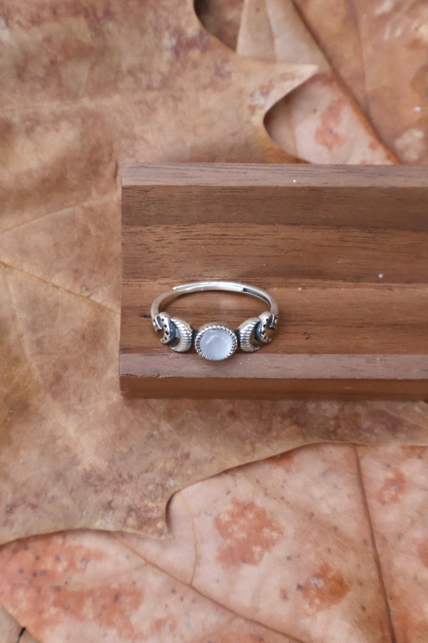 Night watcher - JEN DESIGNRINGS