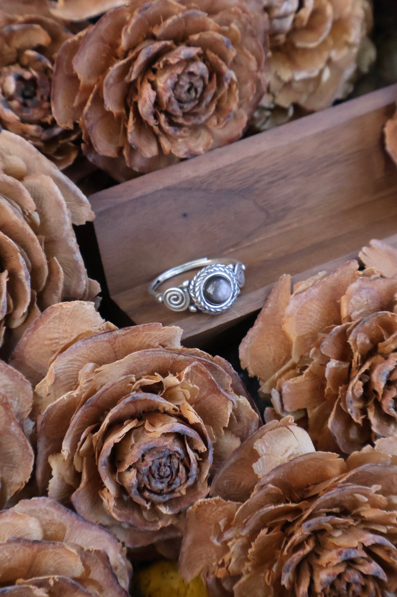 Odyssey - JEN DESIGNRINGS