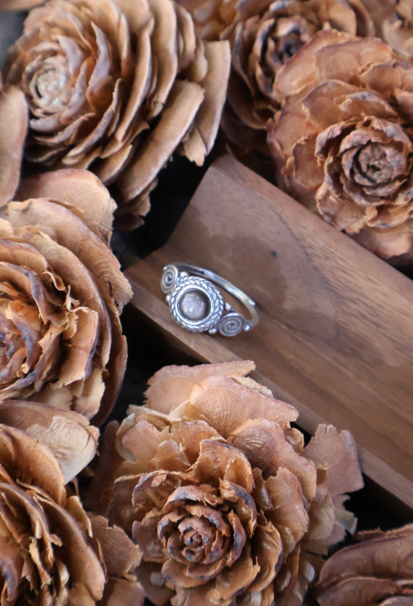 Odyssey - JEN DESIGNRINGS